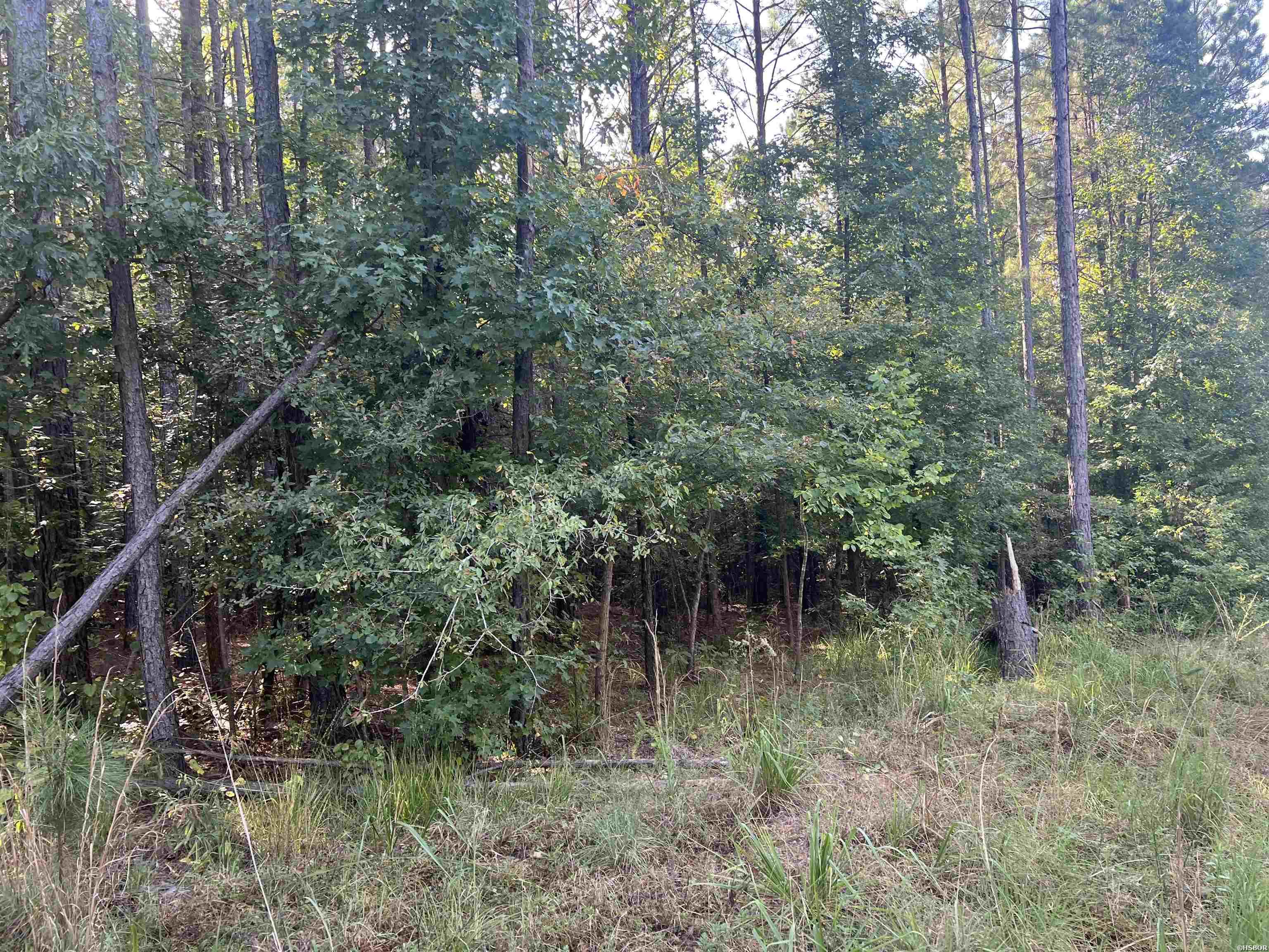 Xx 1&2 Rosboro Property Photo 2
