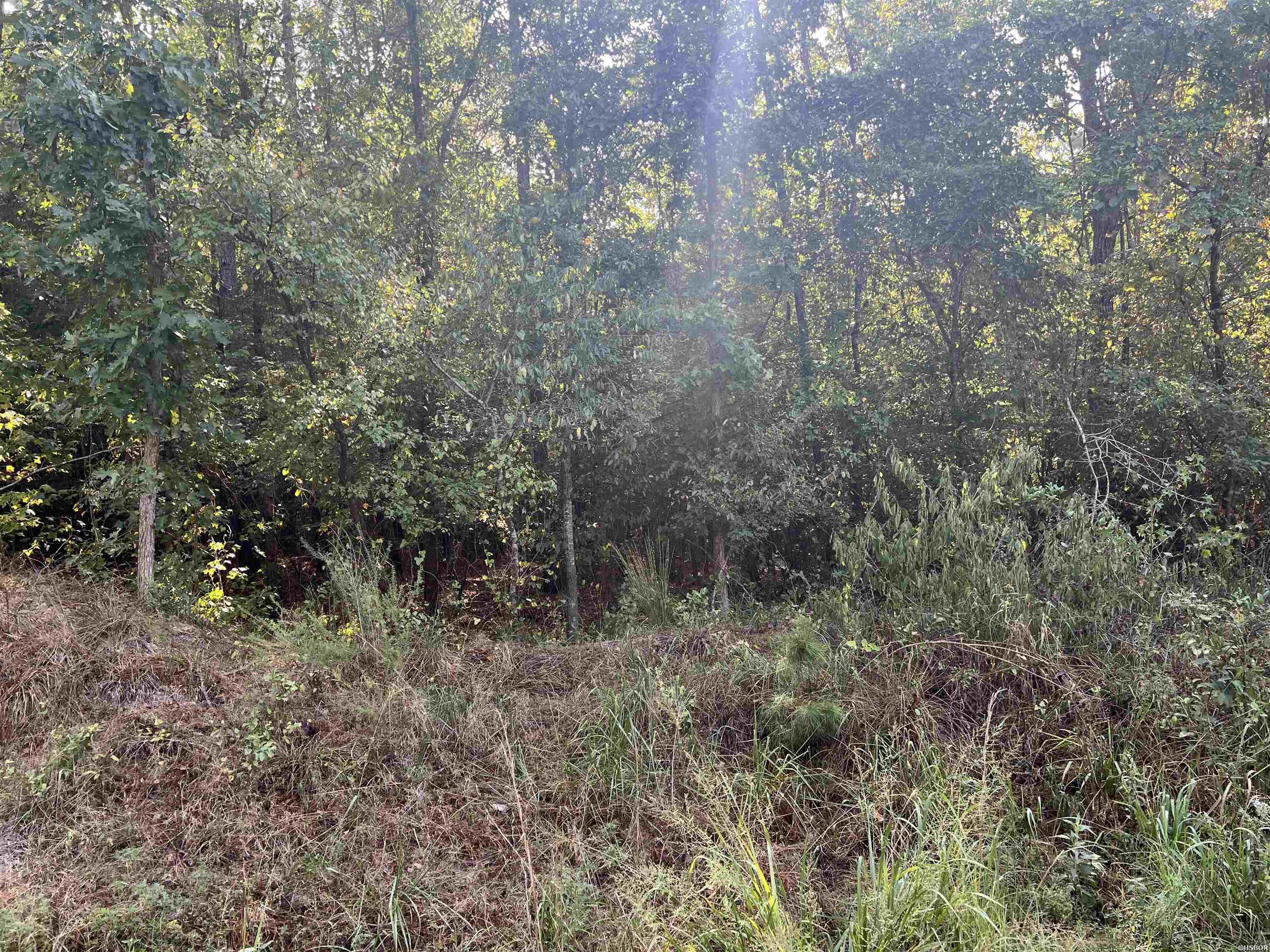 Xx 1&2 Rosboro Property Photo 3