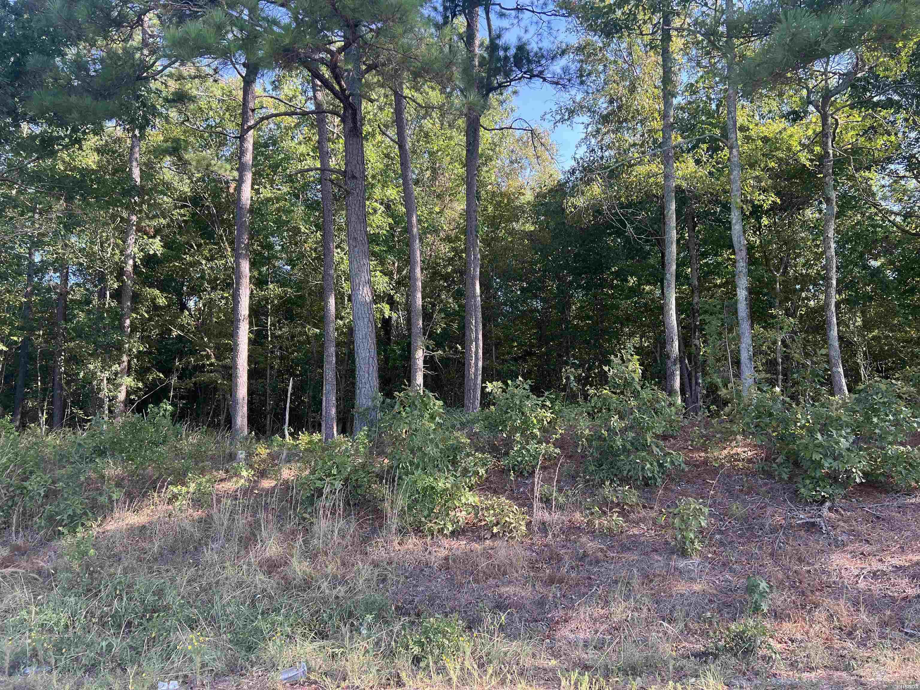 Xx 10 Castle Property Photo 1