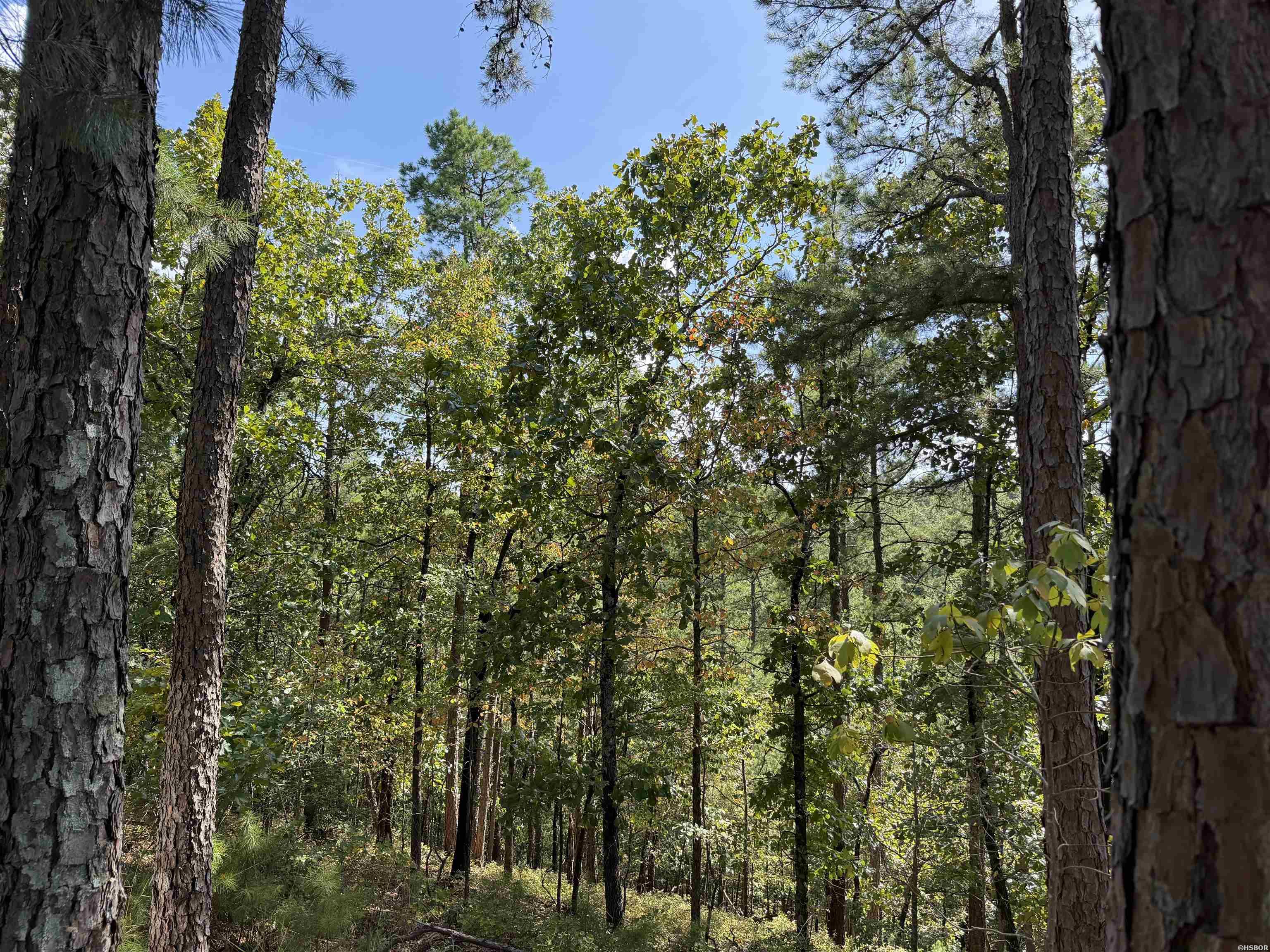 272 Promise Land Drive Property Photo 30