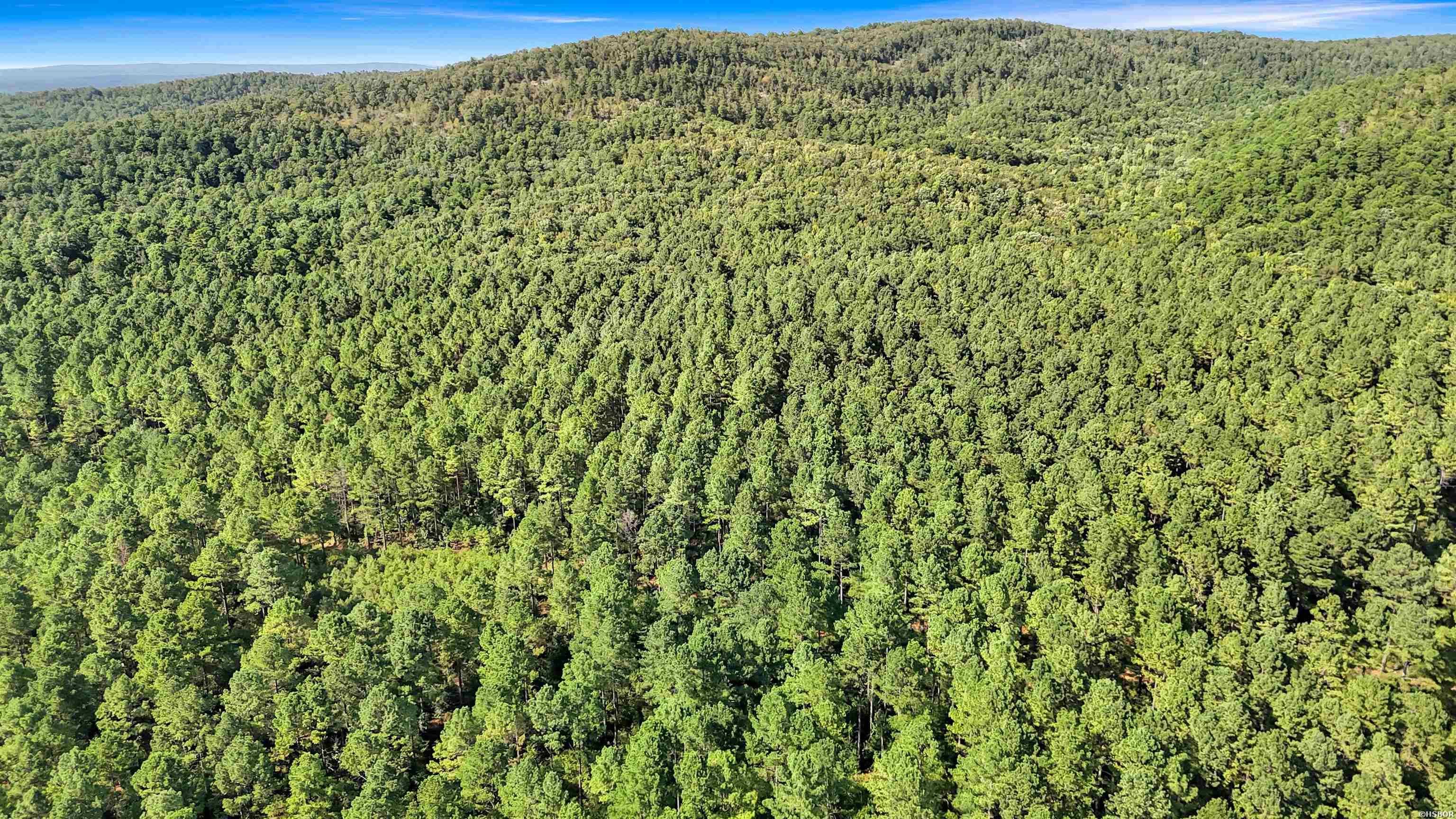 14 Ac Chicot Trail Property Photo 3