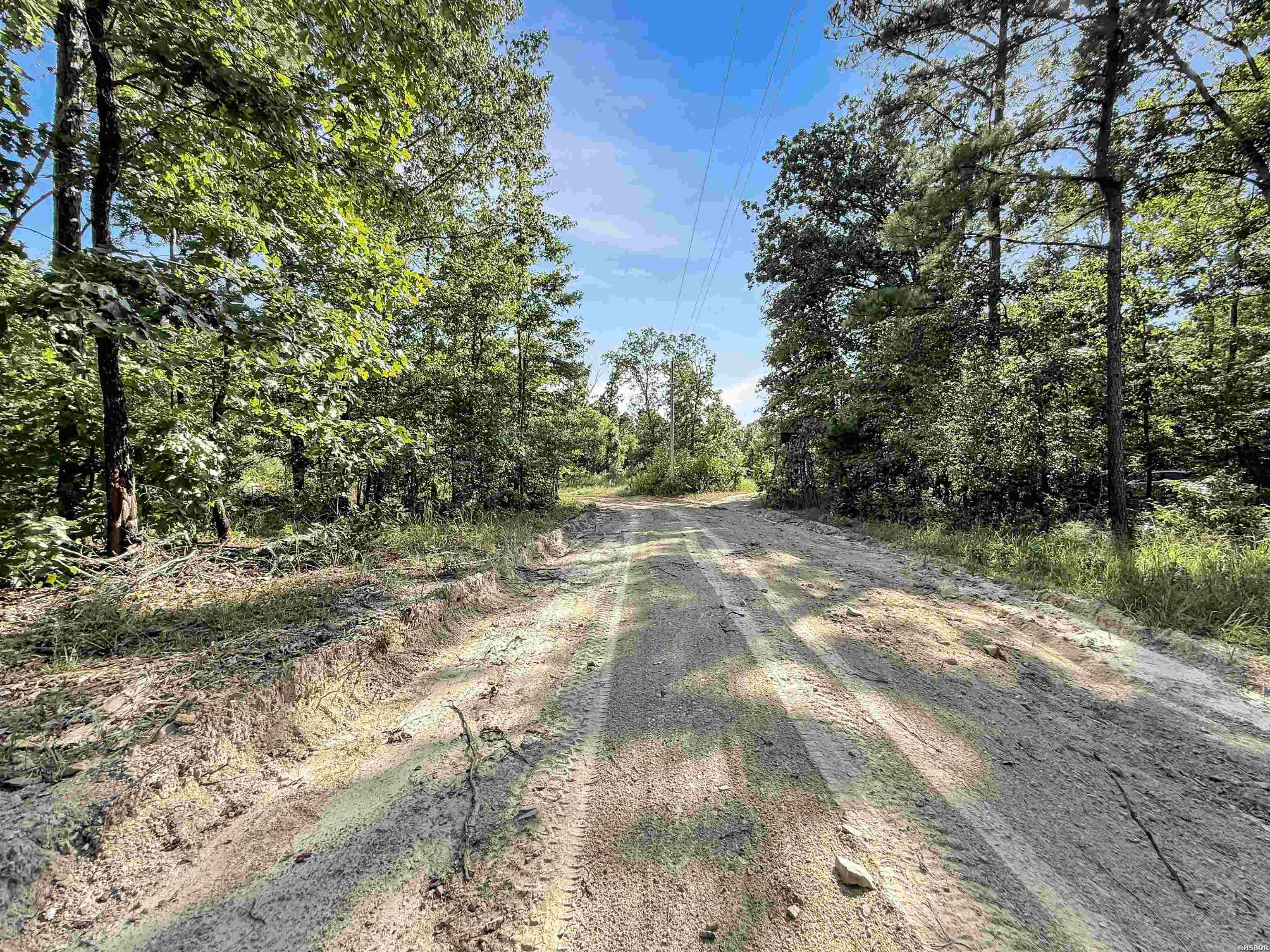 14 Ac Chicot Trail Property Photo 8