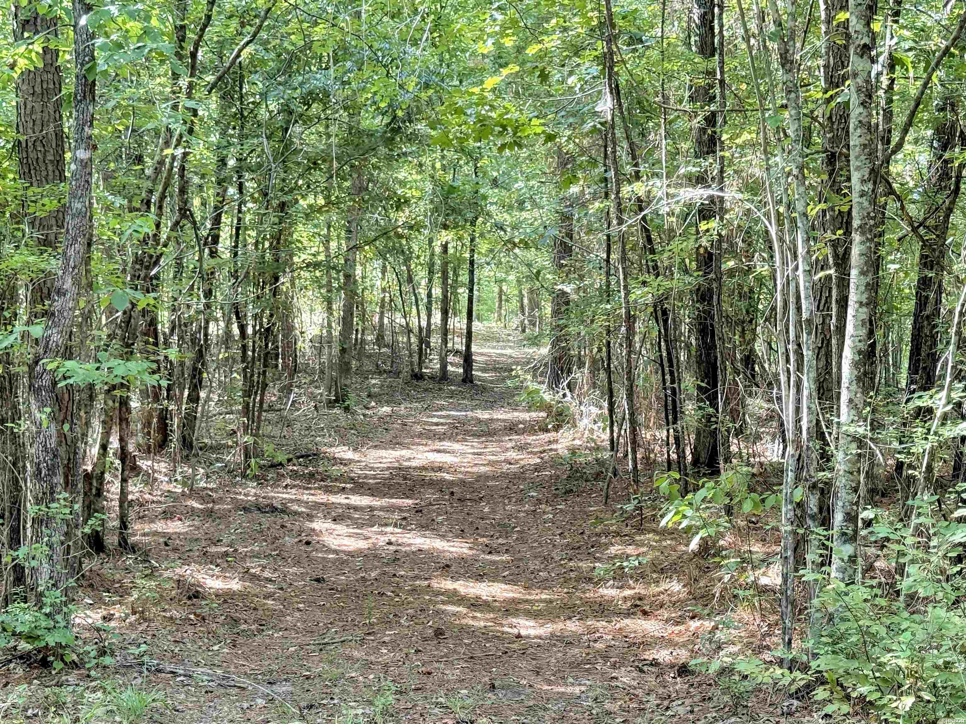 14 Ac Chicot Trail Property Photo 9