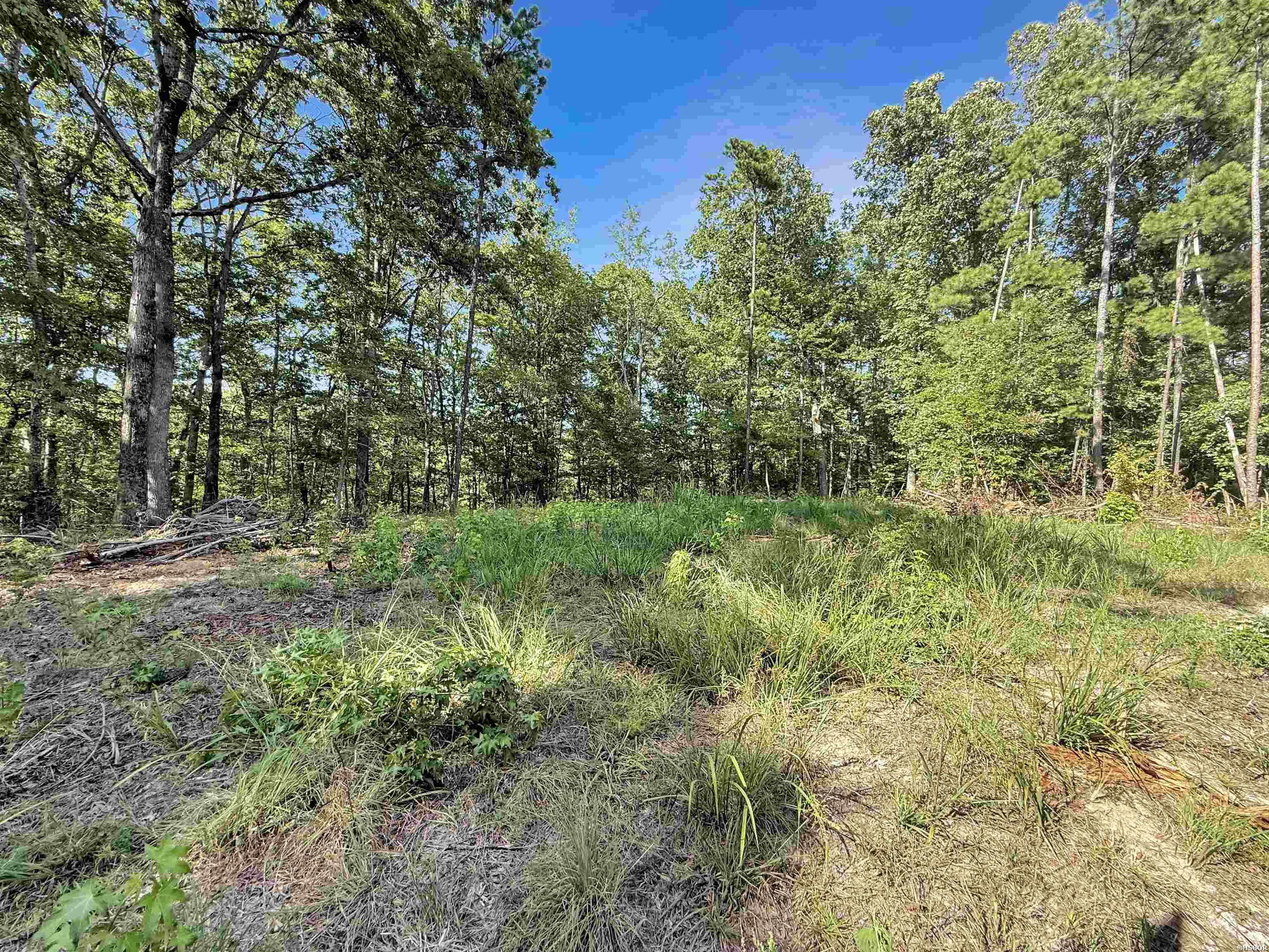 14 Ac Chicot Trail Property Photo 10