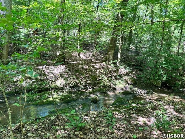 14 Ac Chicot Trail Property Photo 11
