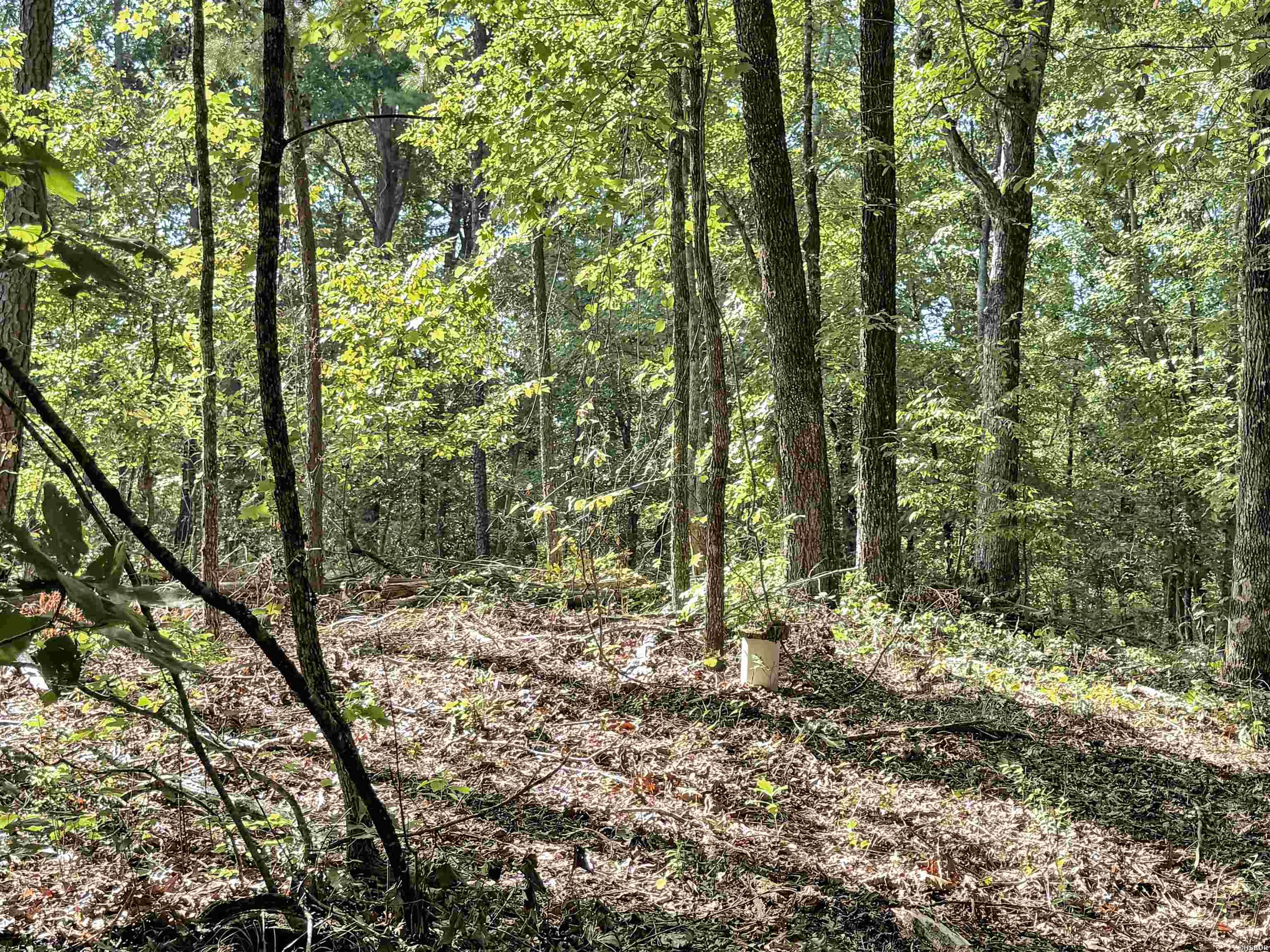 14 Ac Chicot Trail Property Photo 13