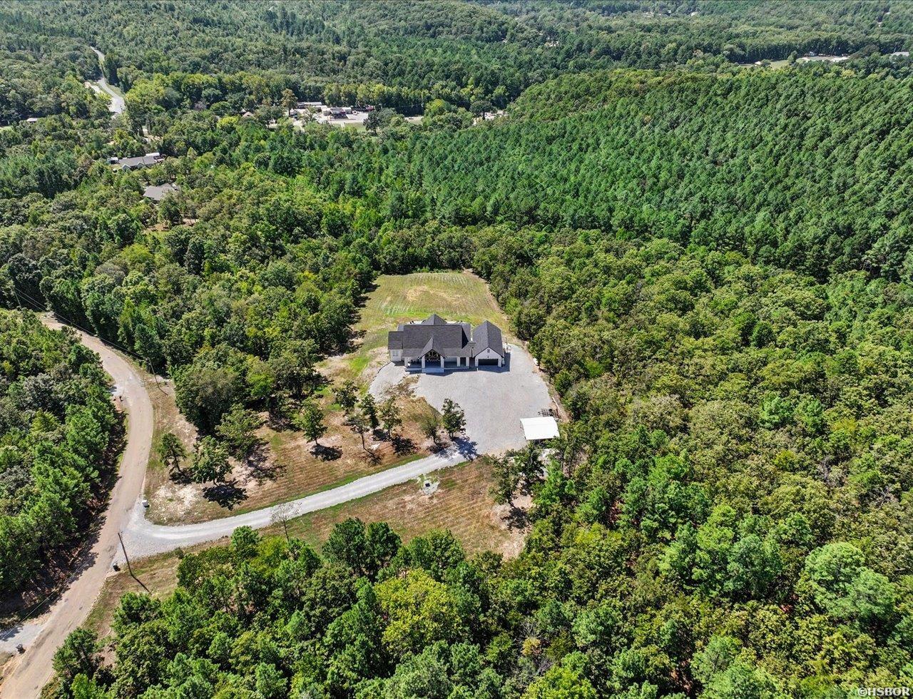 255 Falcon Ridge Trail Property Photo 49