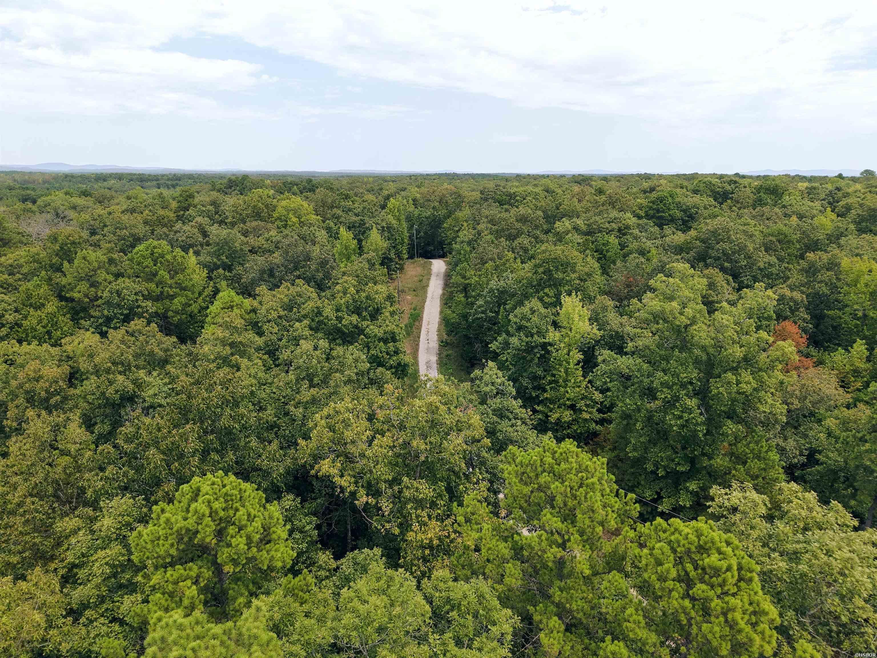84 Archwood Property Photo 11