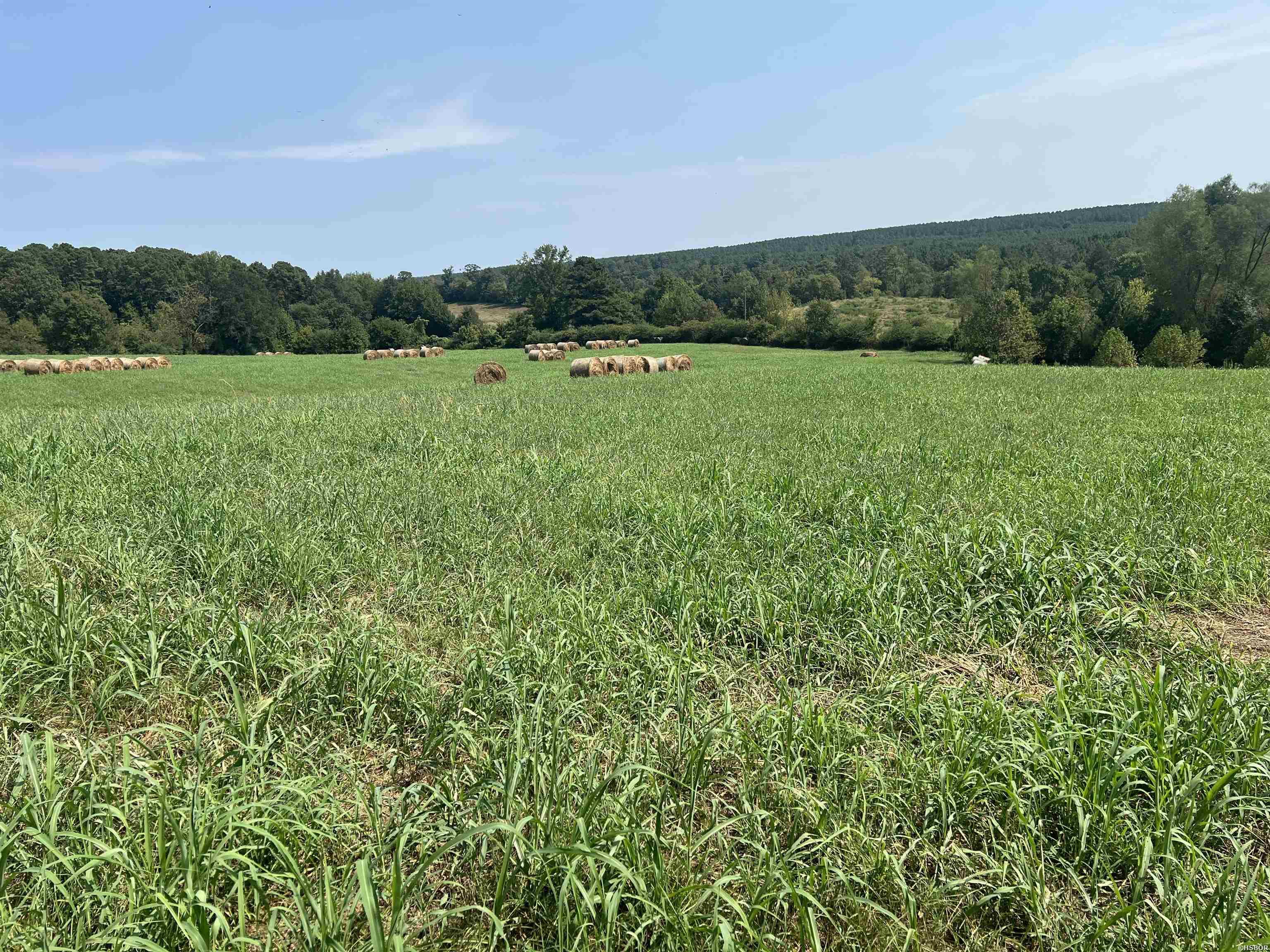 Xx Hwy 84 Property Photo 2