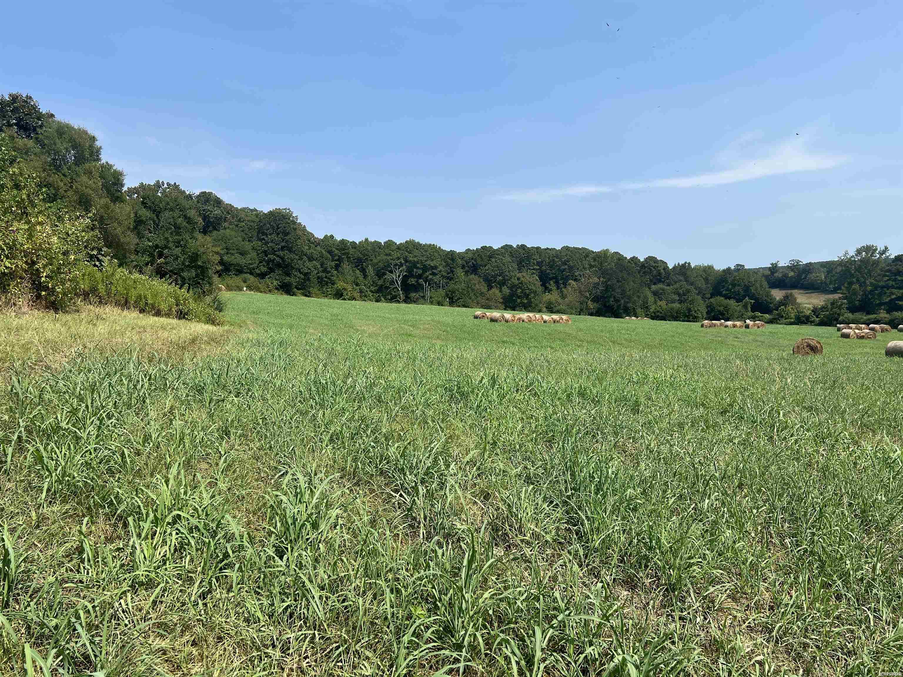 Xx Hwy 84 Property Photo 3