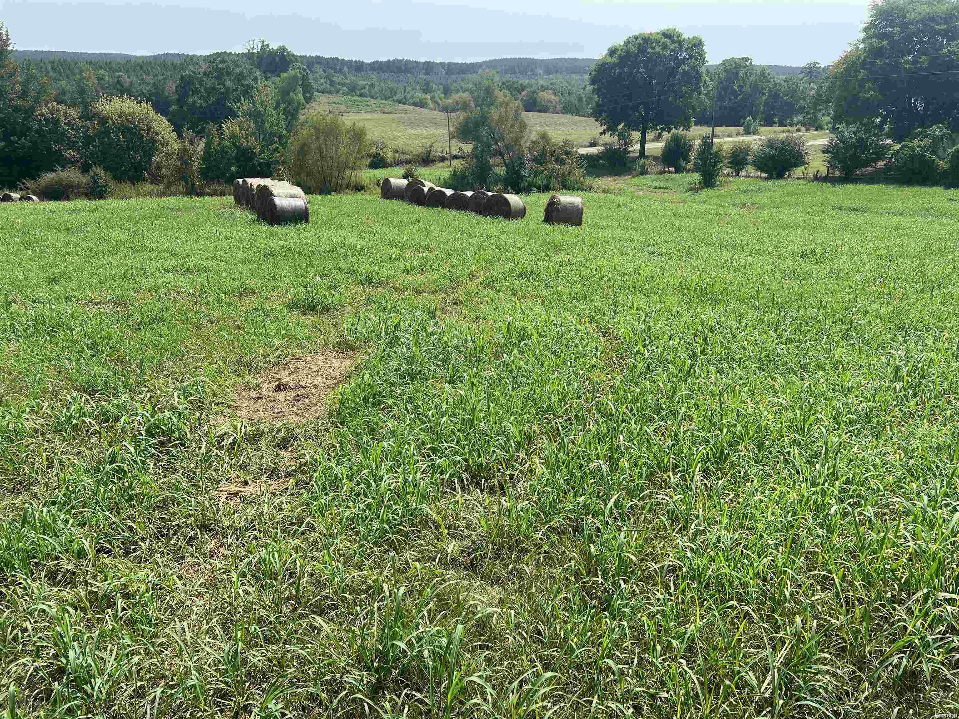 Xx Hwy 84 Property Photo 4