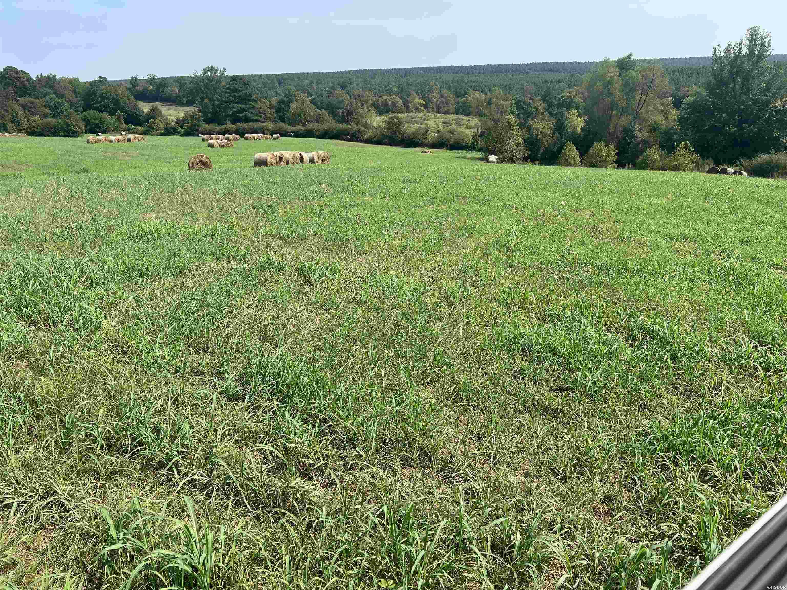 Xx Hwy 84 Property Photo 5
