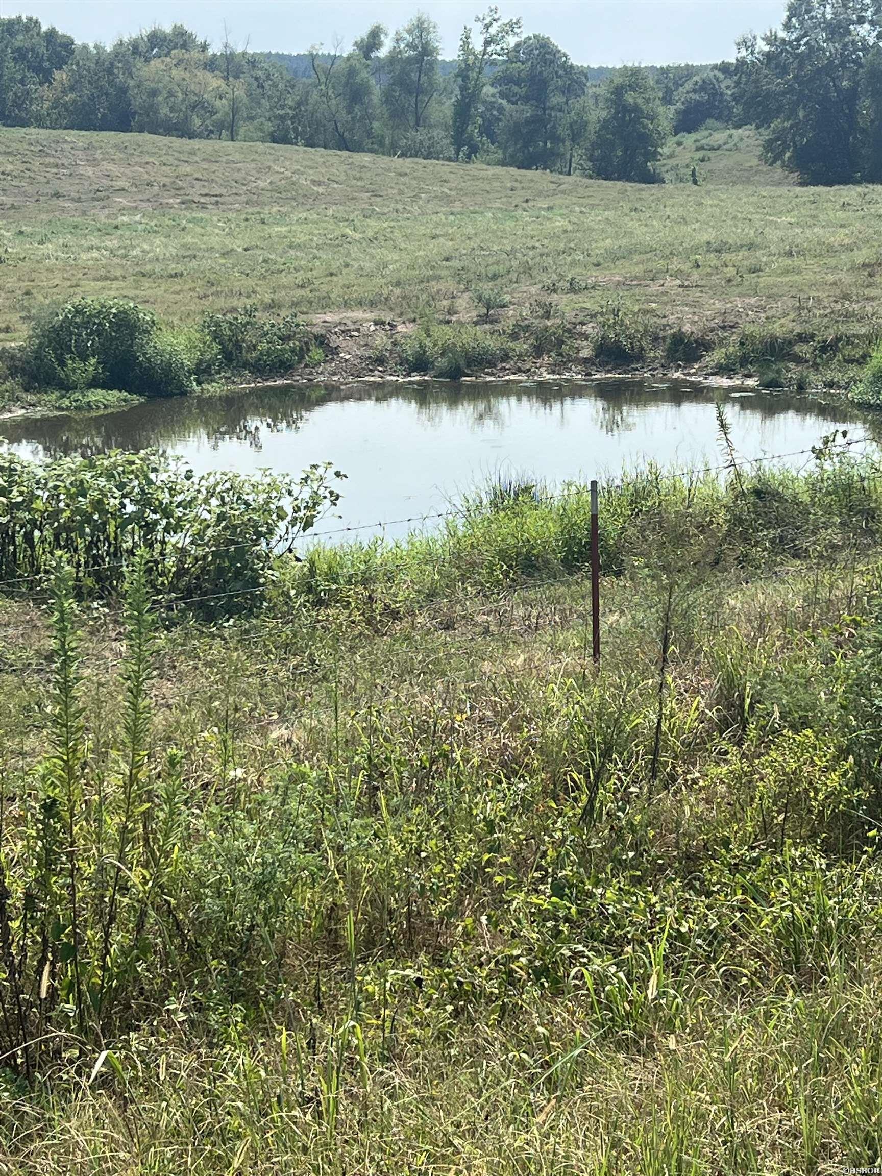 Xx W Hwy 84 Property Photo 2