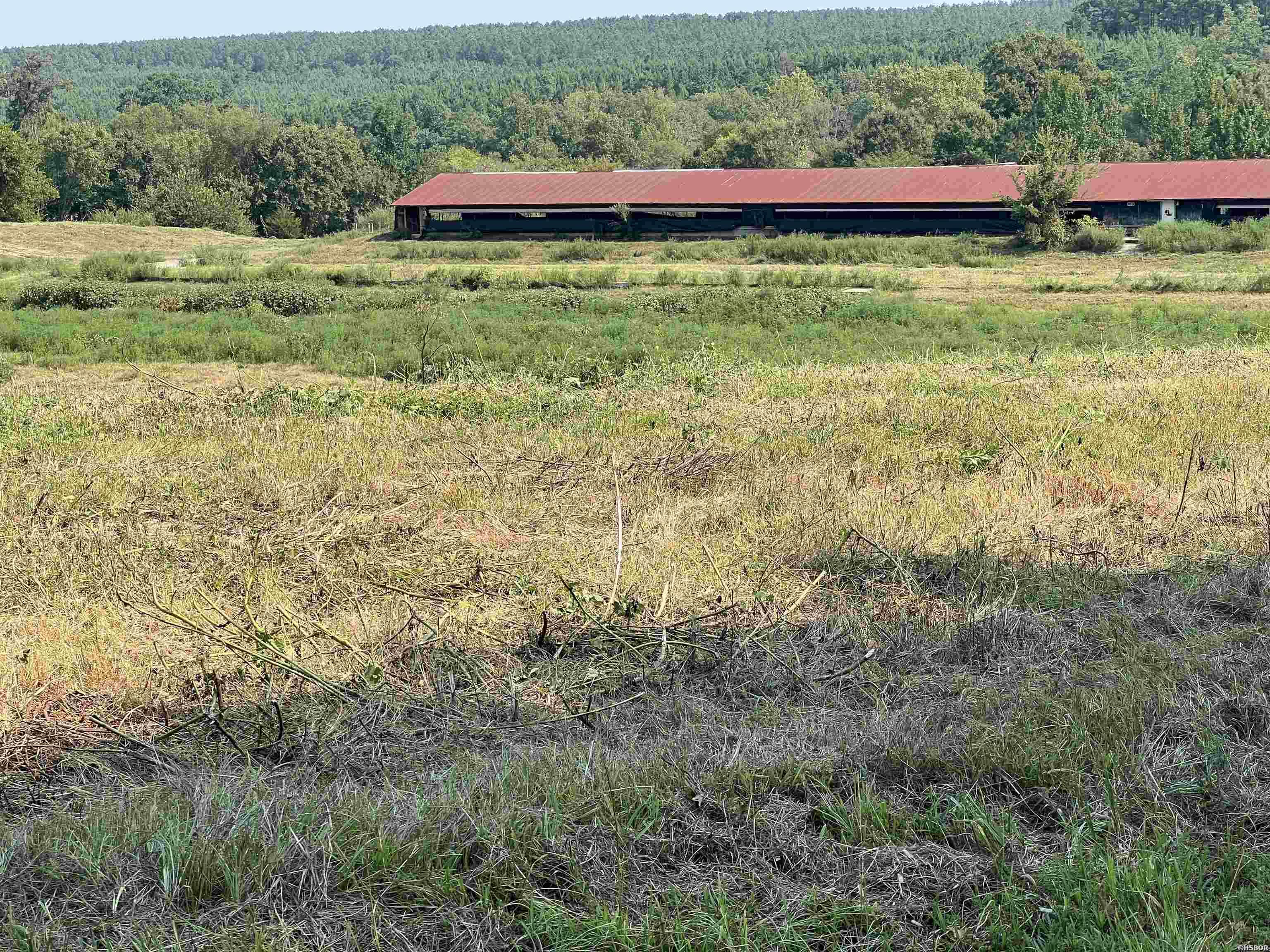 Xx W Hwy 84 Property Photo 7