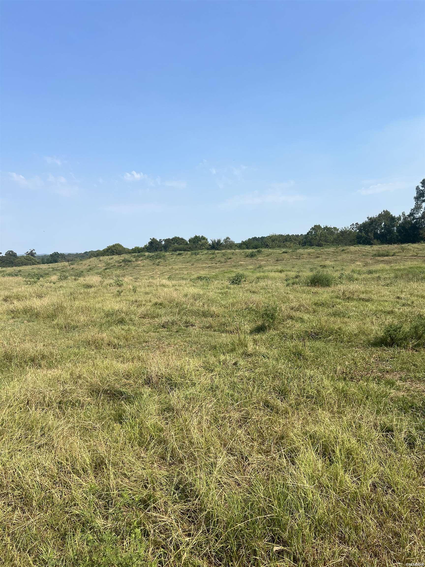 Xx W Hwy 84 Property Photo 11