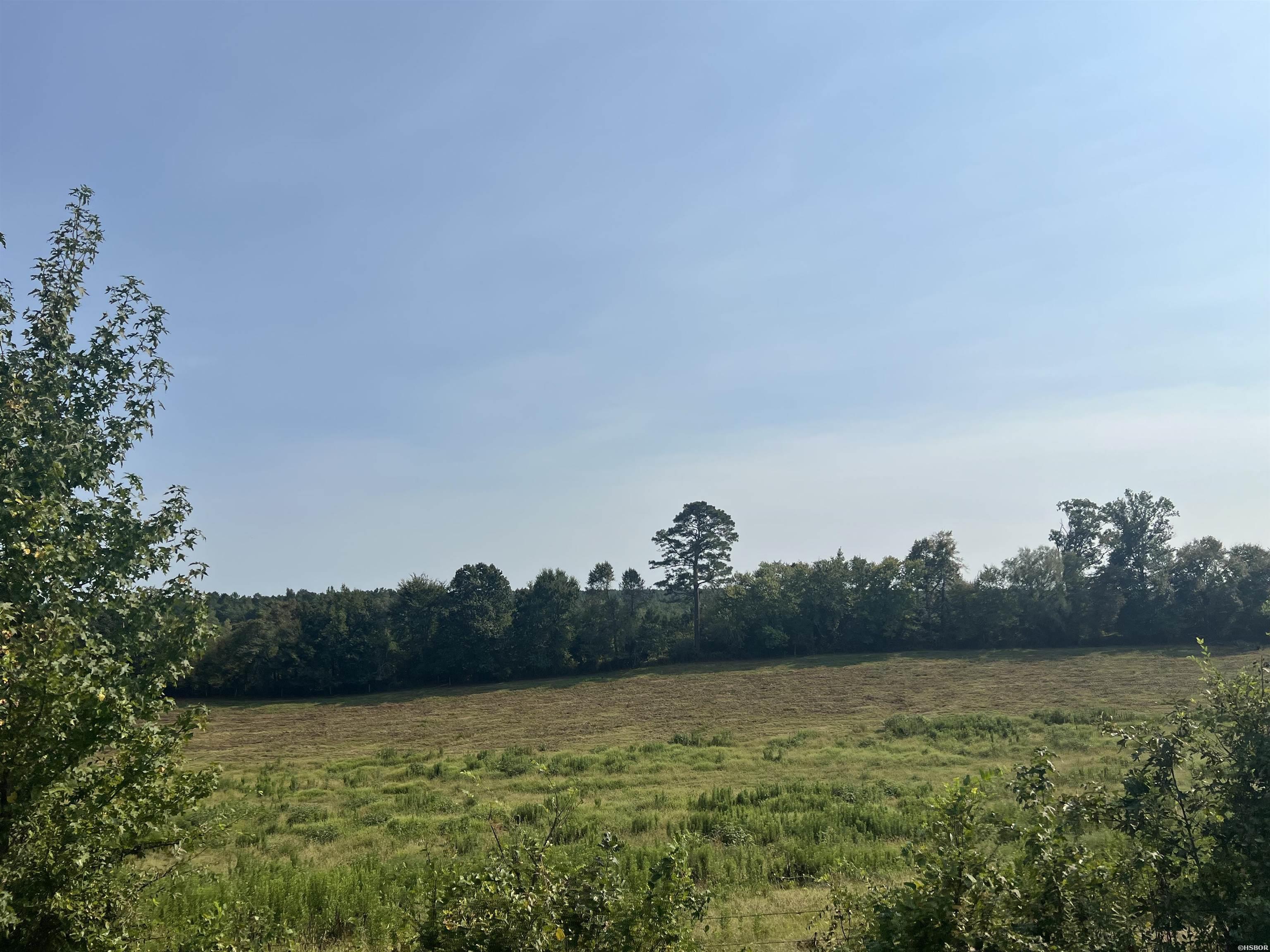 Xx W Hwy 84 Property Photo 18