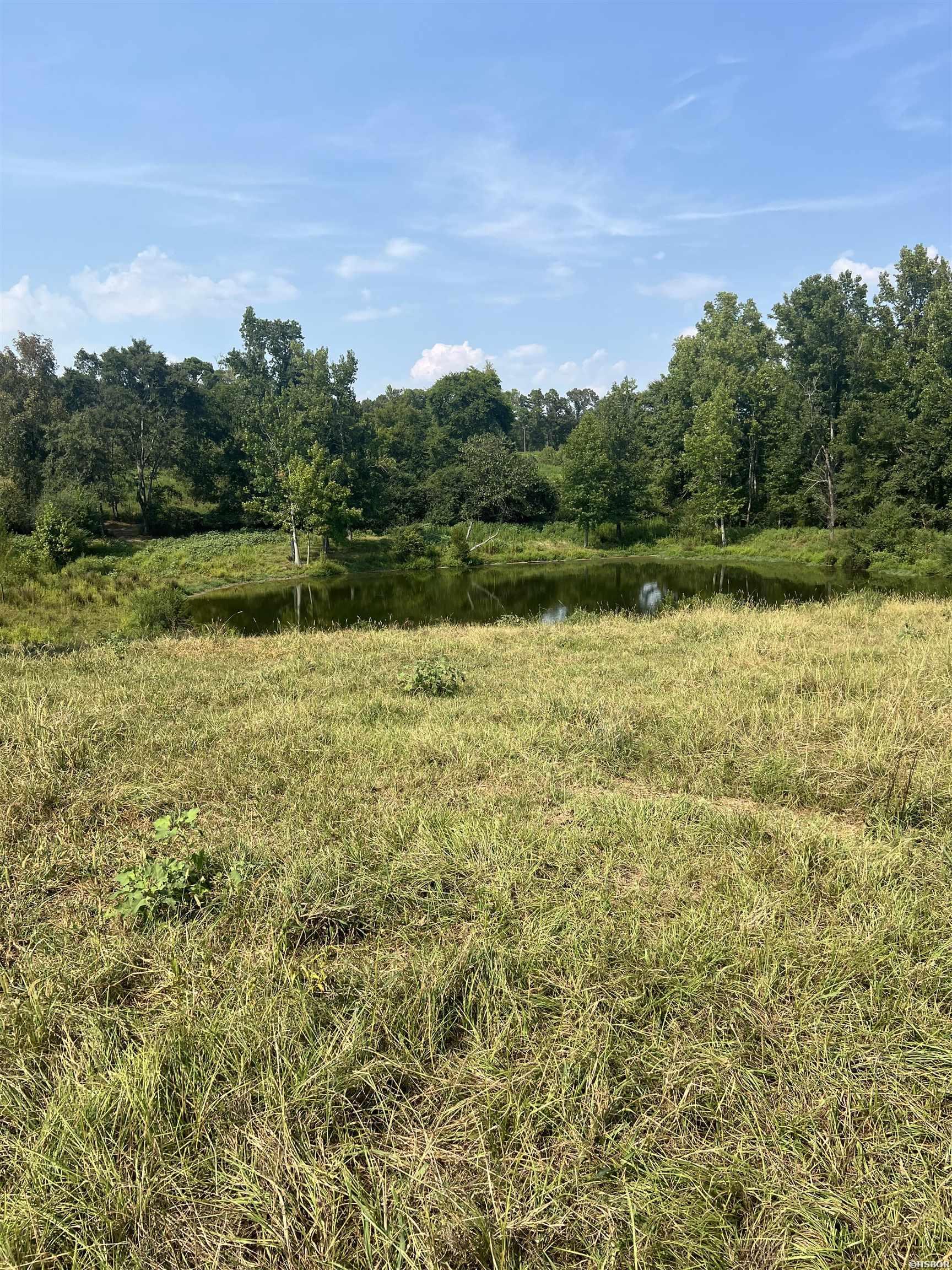 Xx W Hwy 84 Property Photo 20