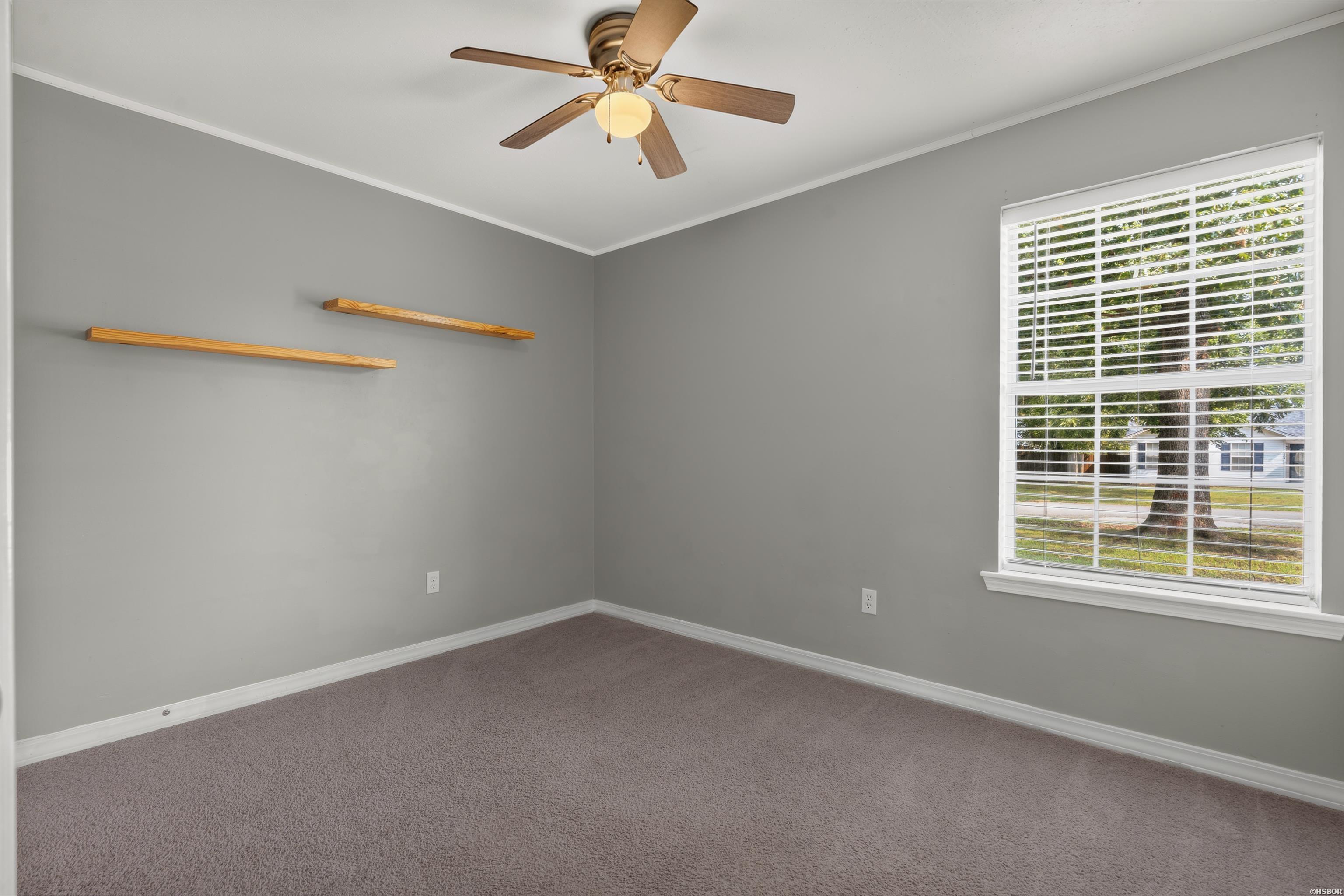 307 Ray Street Property Photo 19