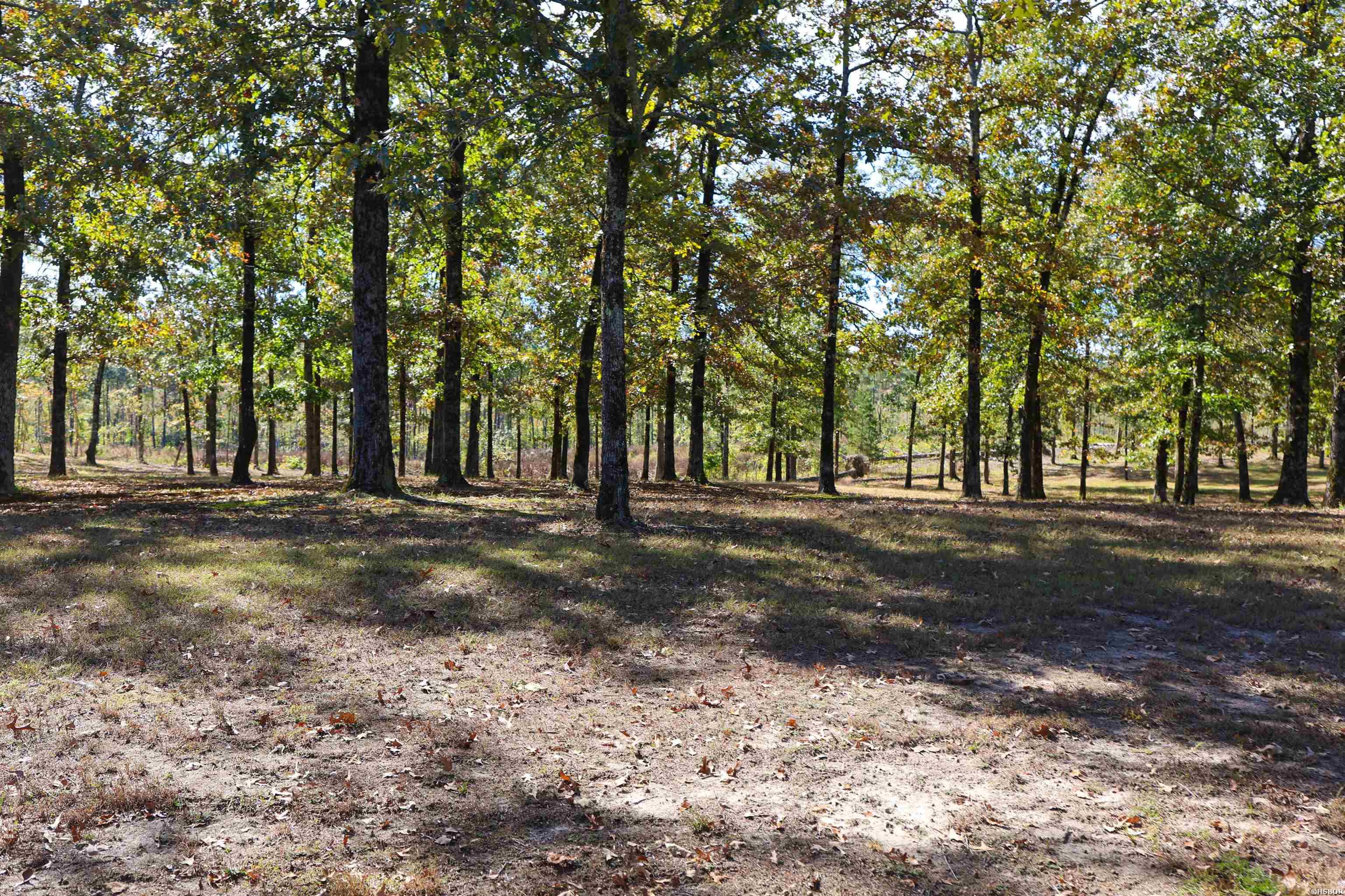 125 Clinton Loop Property Photo 41