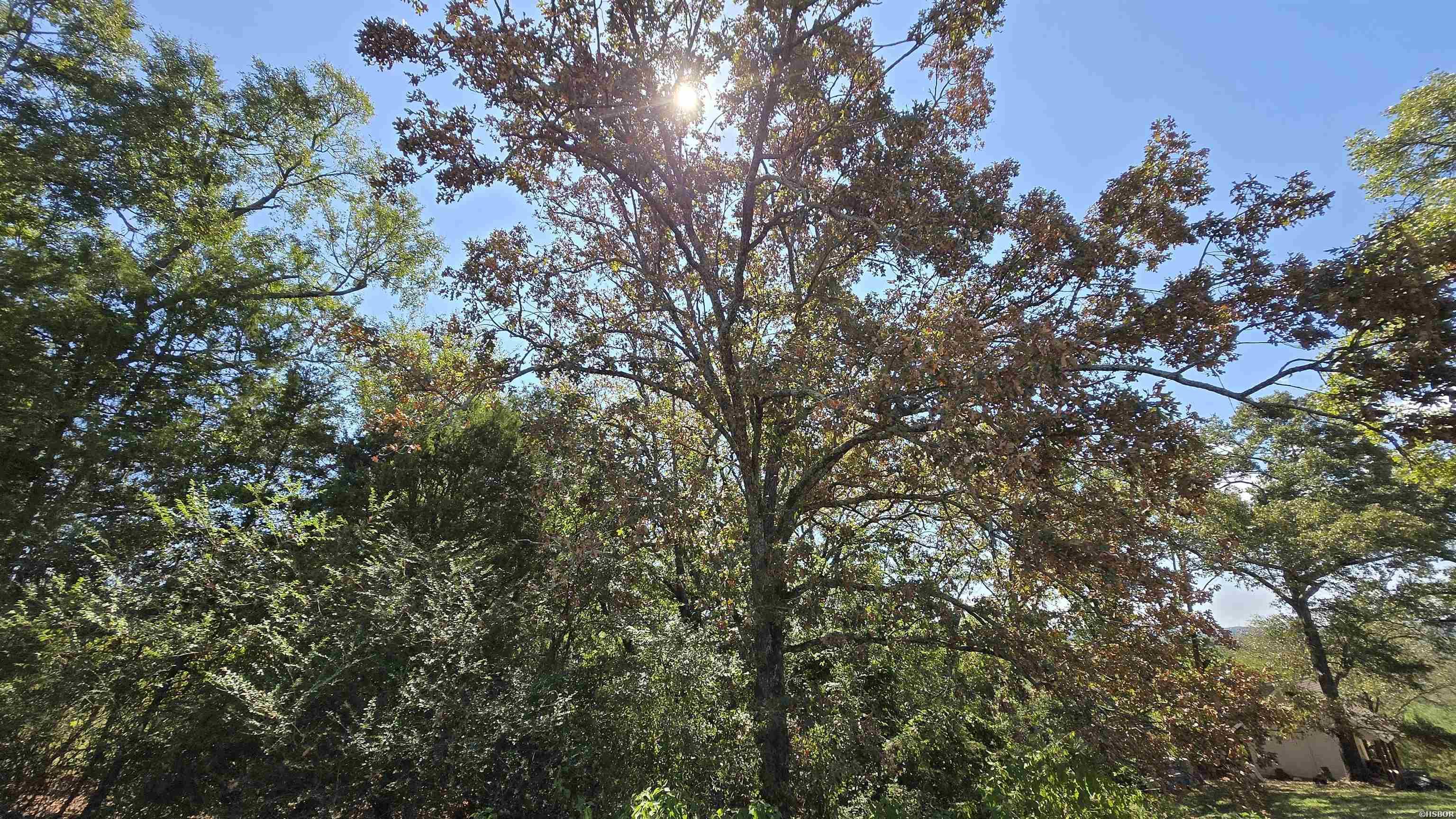 Lot 5 Damian Court Property Photo 3