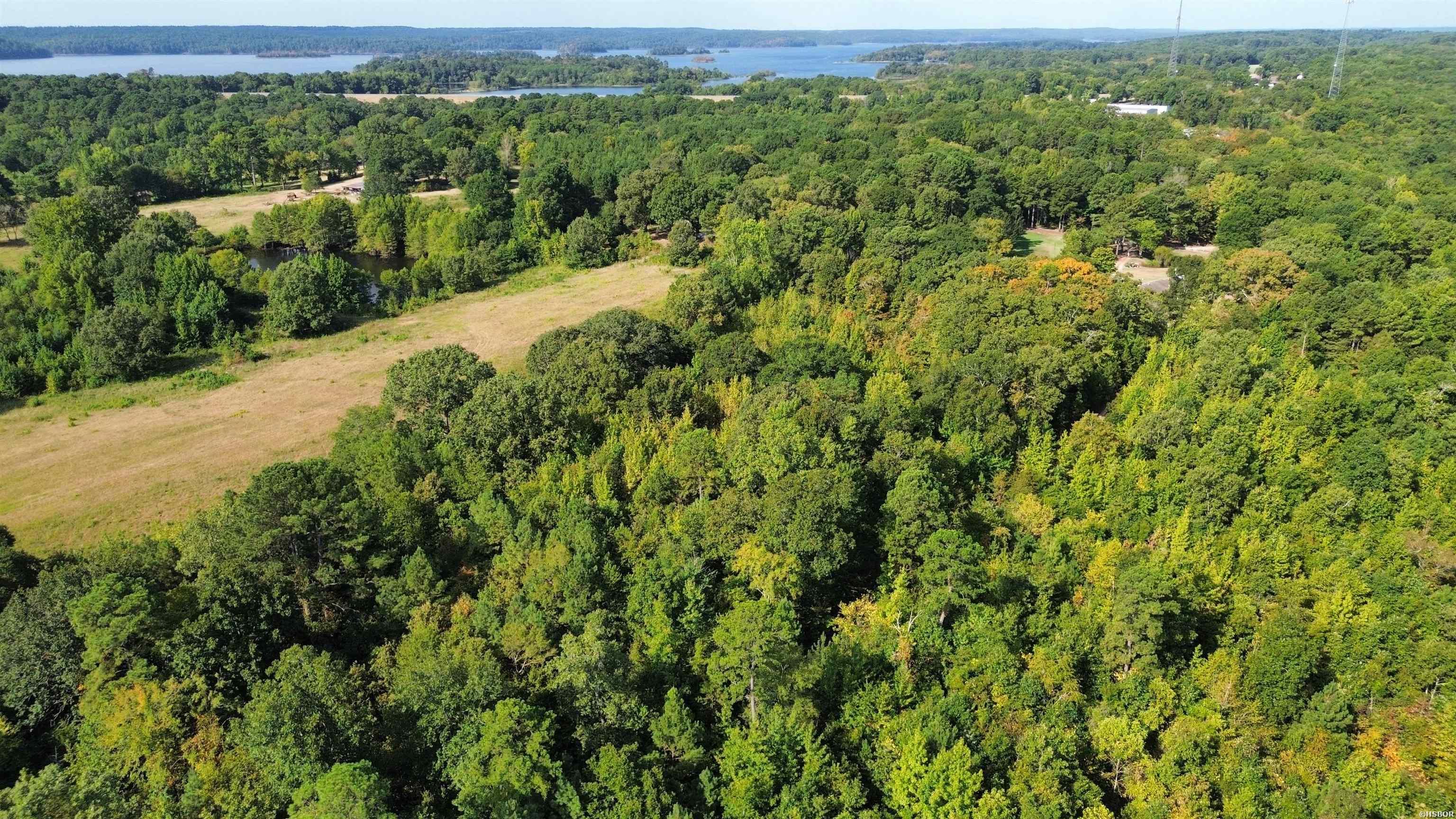 Tbd Palmetto Loop Property Photo 2