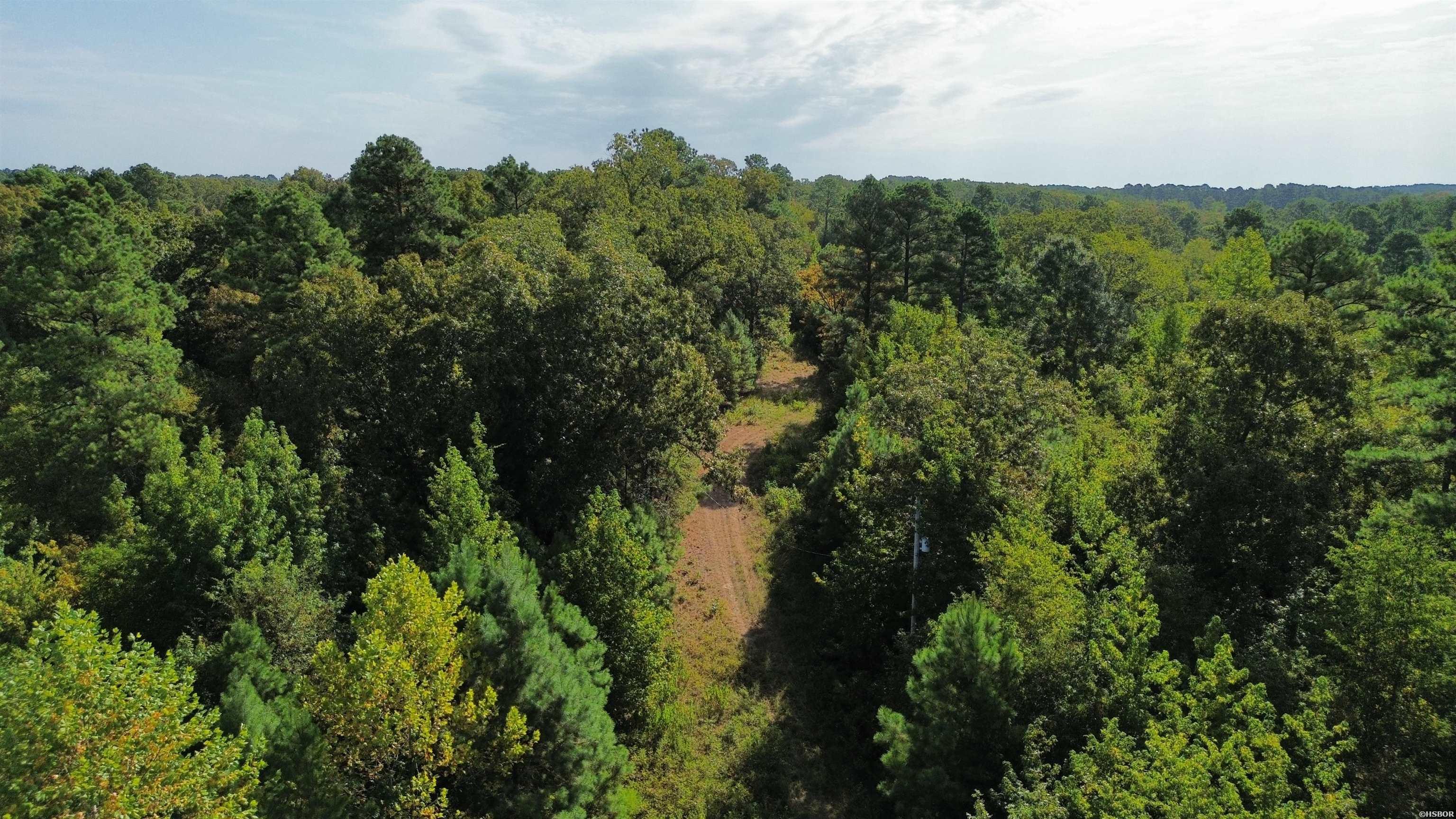 Tbd Palmetto Loop Property Photo 5