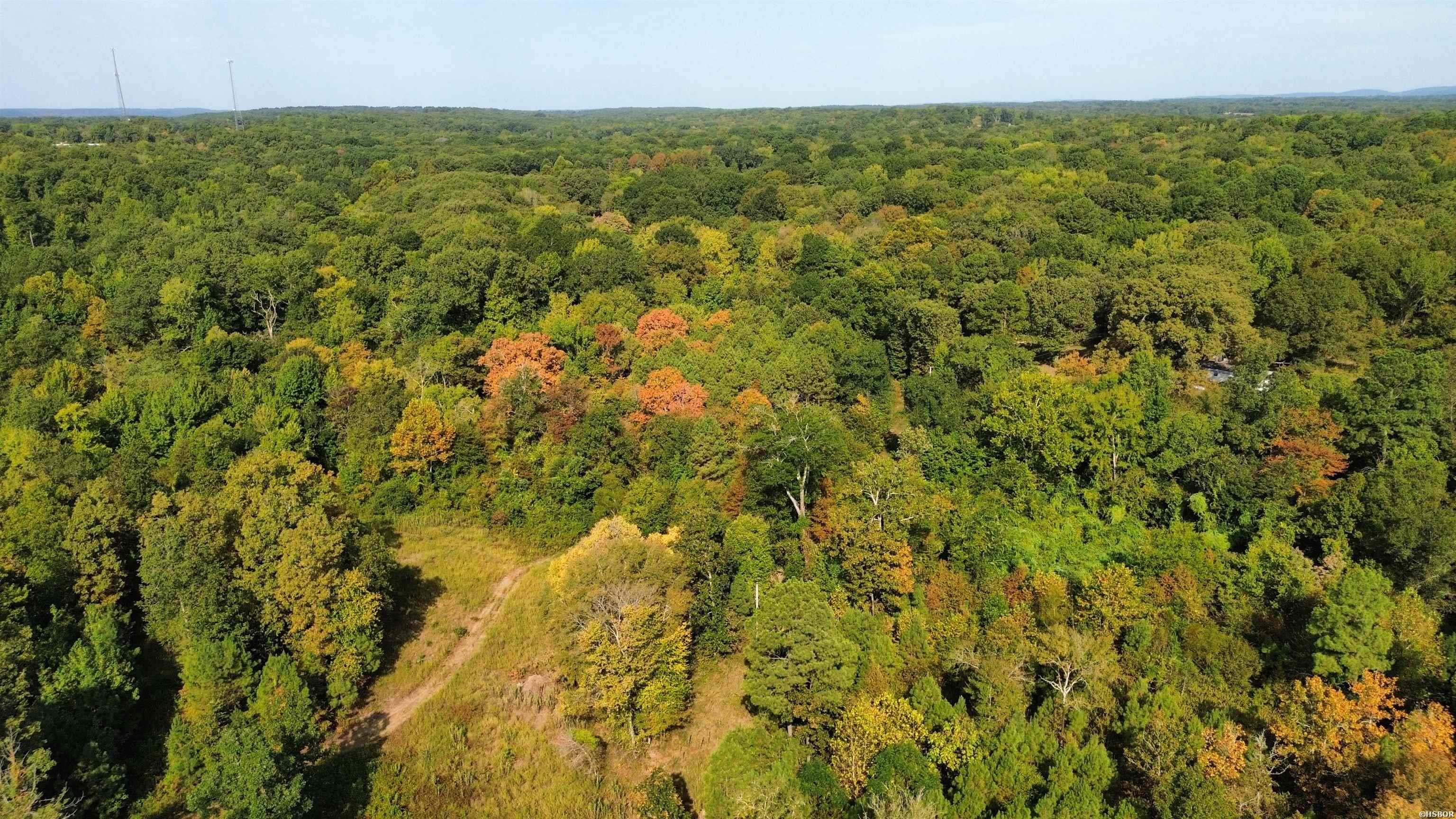 Tbd Palmetto Loop Property Photo 6