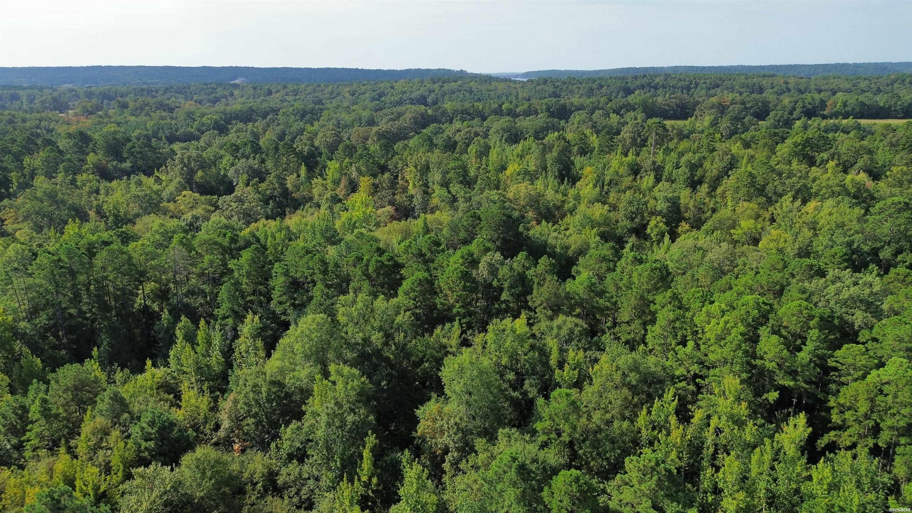 Tbd Palmetto Loop Property Photo 7