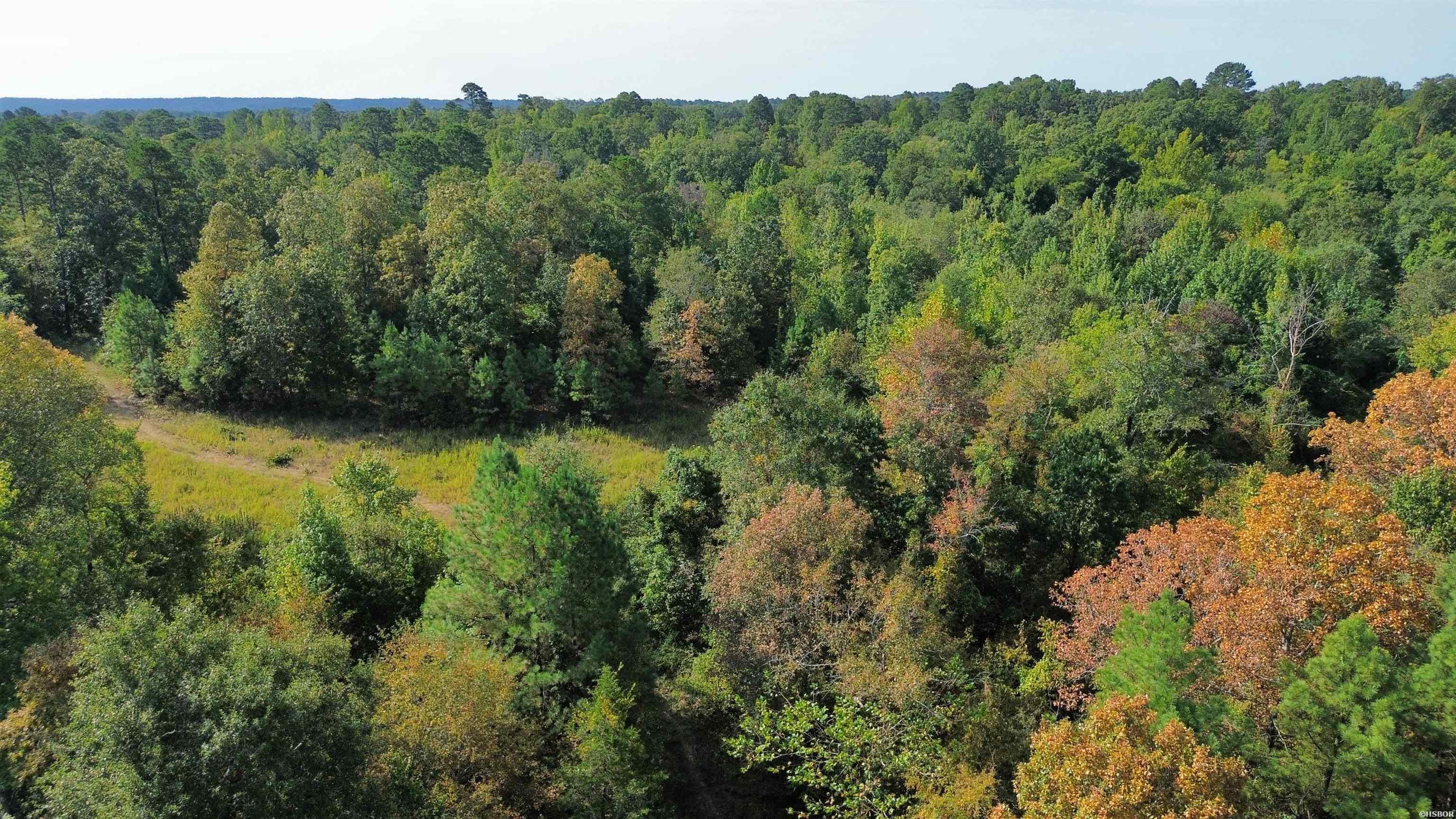 Tbd Palmetto Loop Property Photo 9