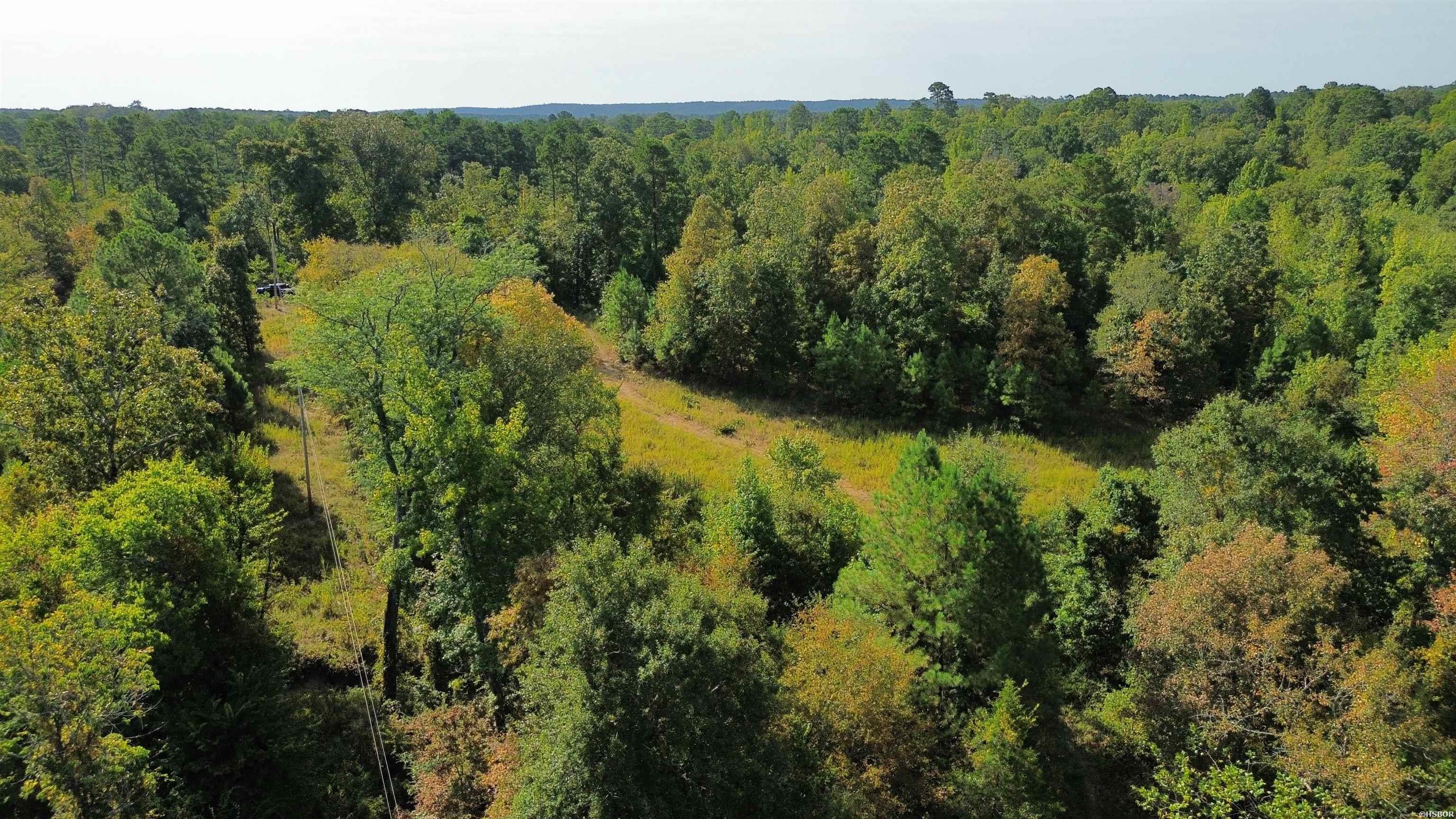 Tbd Palmetto Loop Property Photo 10