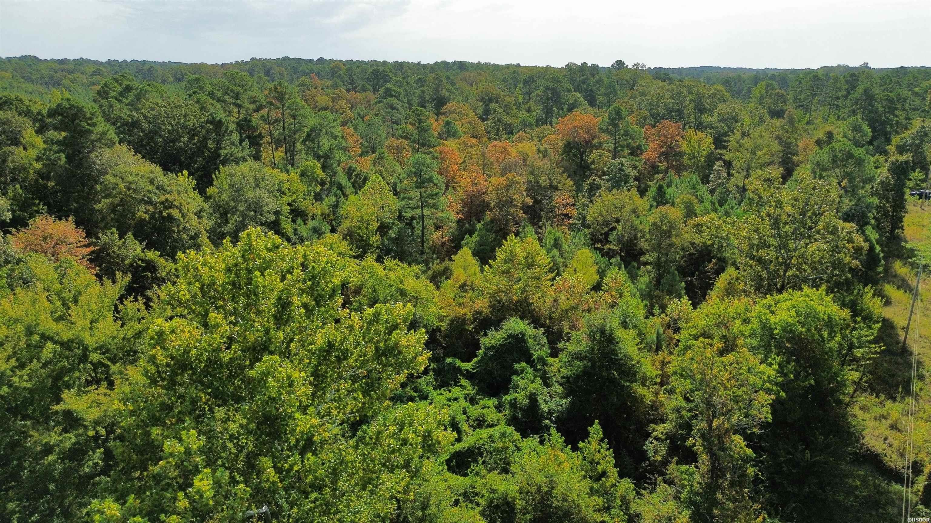 Tbd Palmetto Loop Property Photo 11