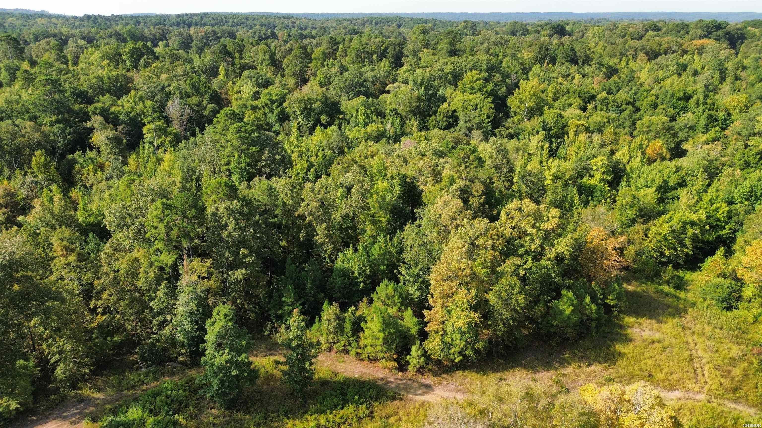Tbd Palmetto Loop Property Photo 12