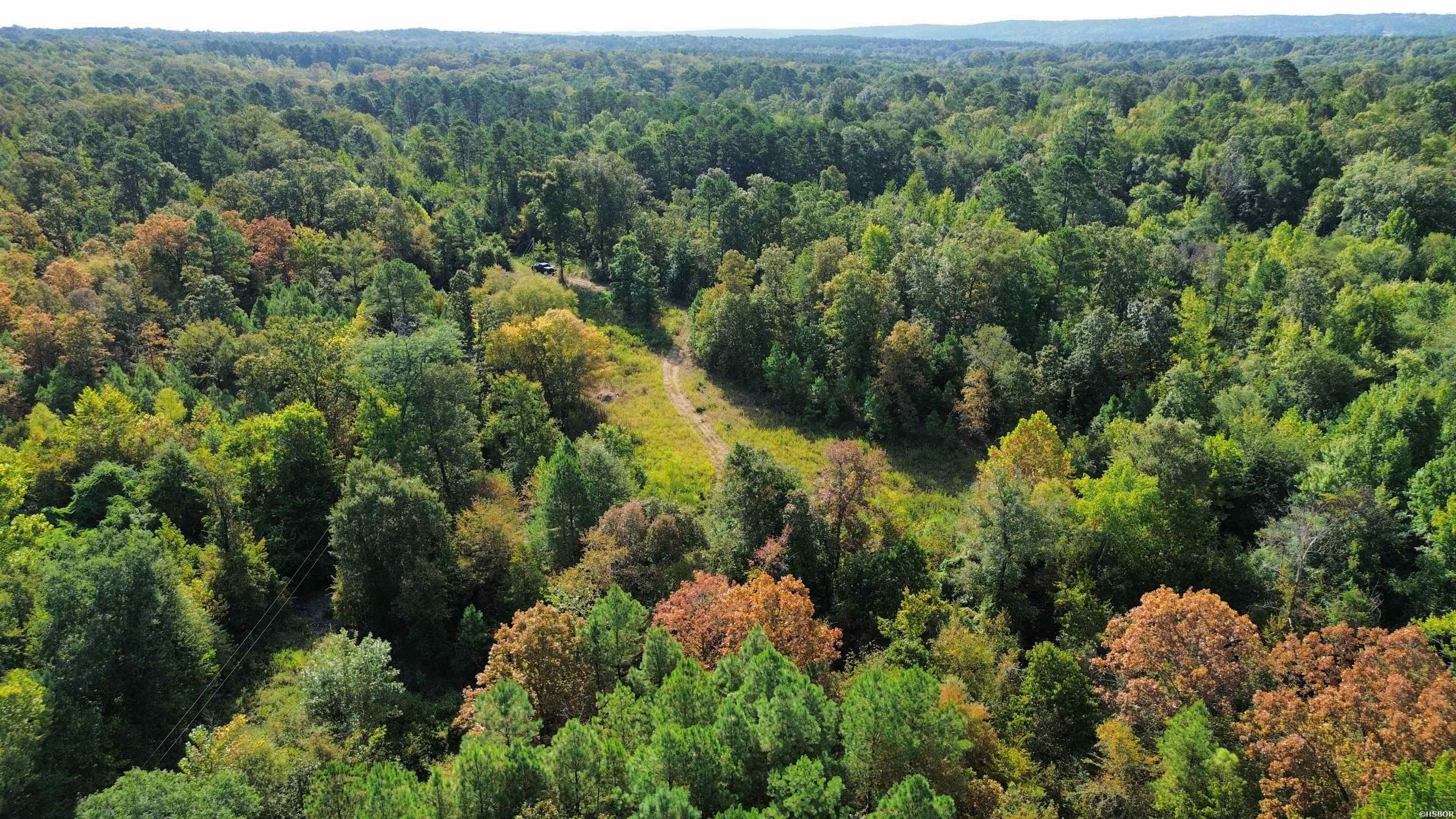 Tbd Palmetto Loop Property Photo 13