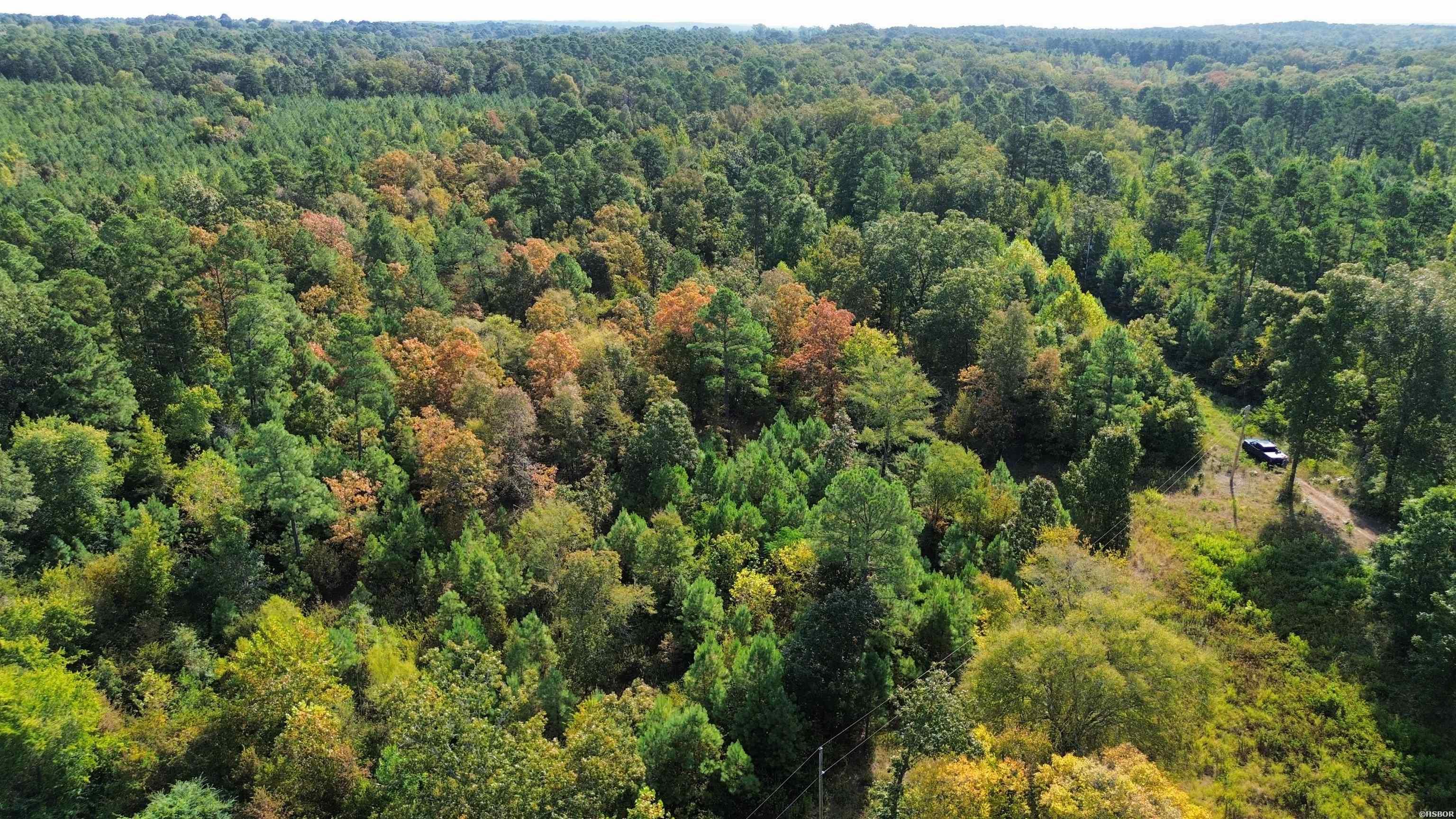 Tbd Palmetto Loop Property Photo 15
