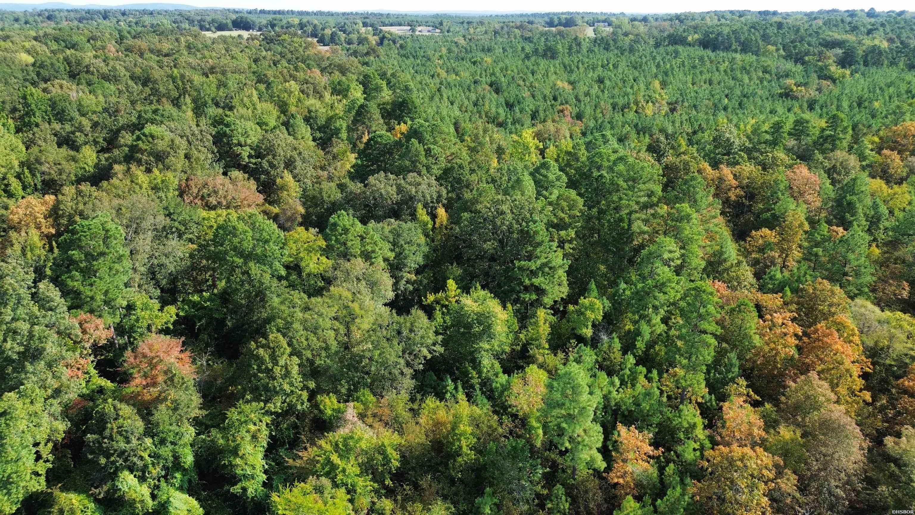 Tbd Palmetto Loop Property Photo 16