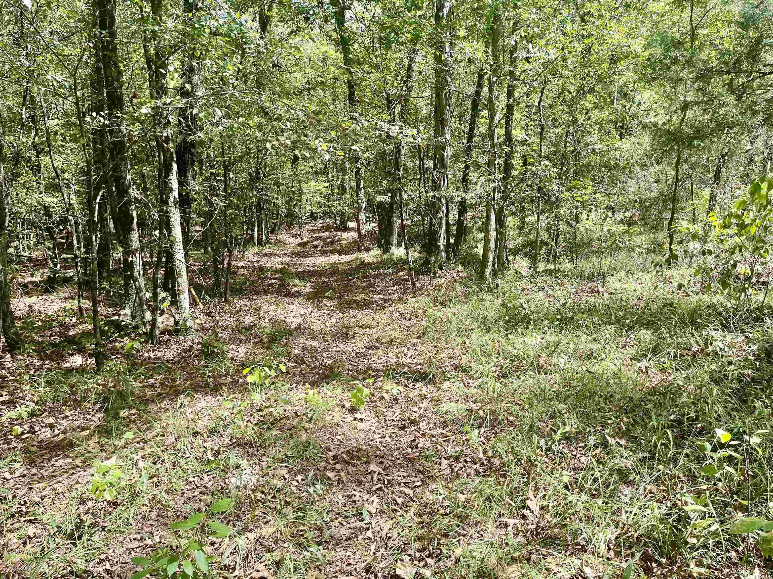 Tbd Midway Property Photo 13