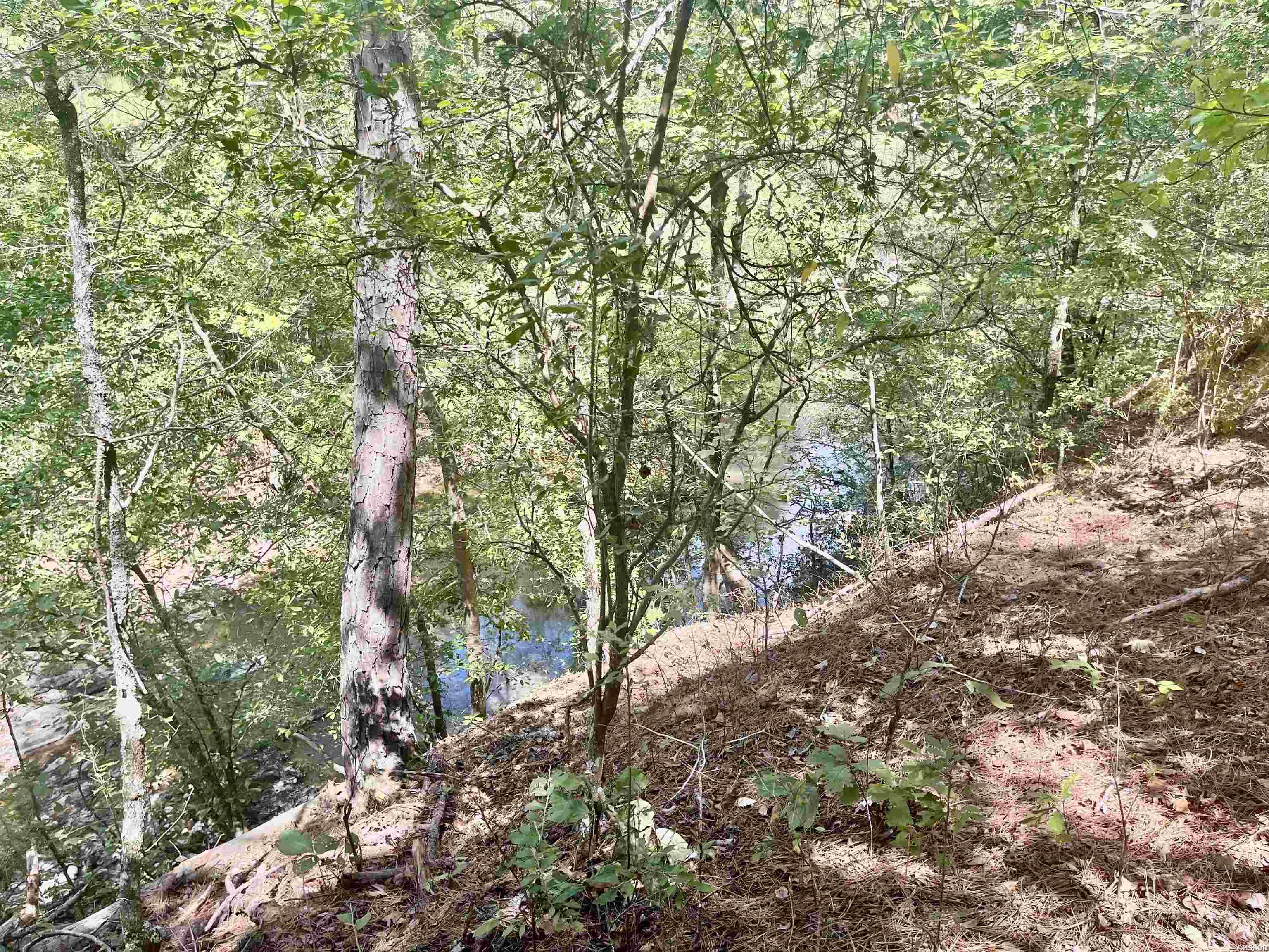 Tbd Midway Property Photo 18