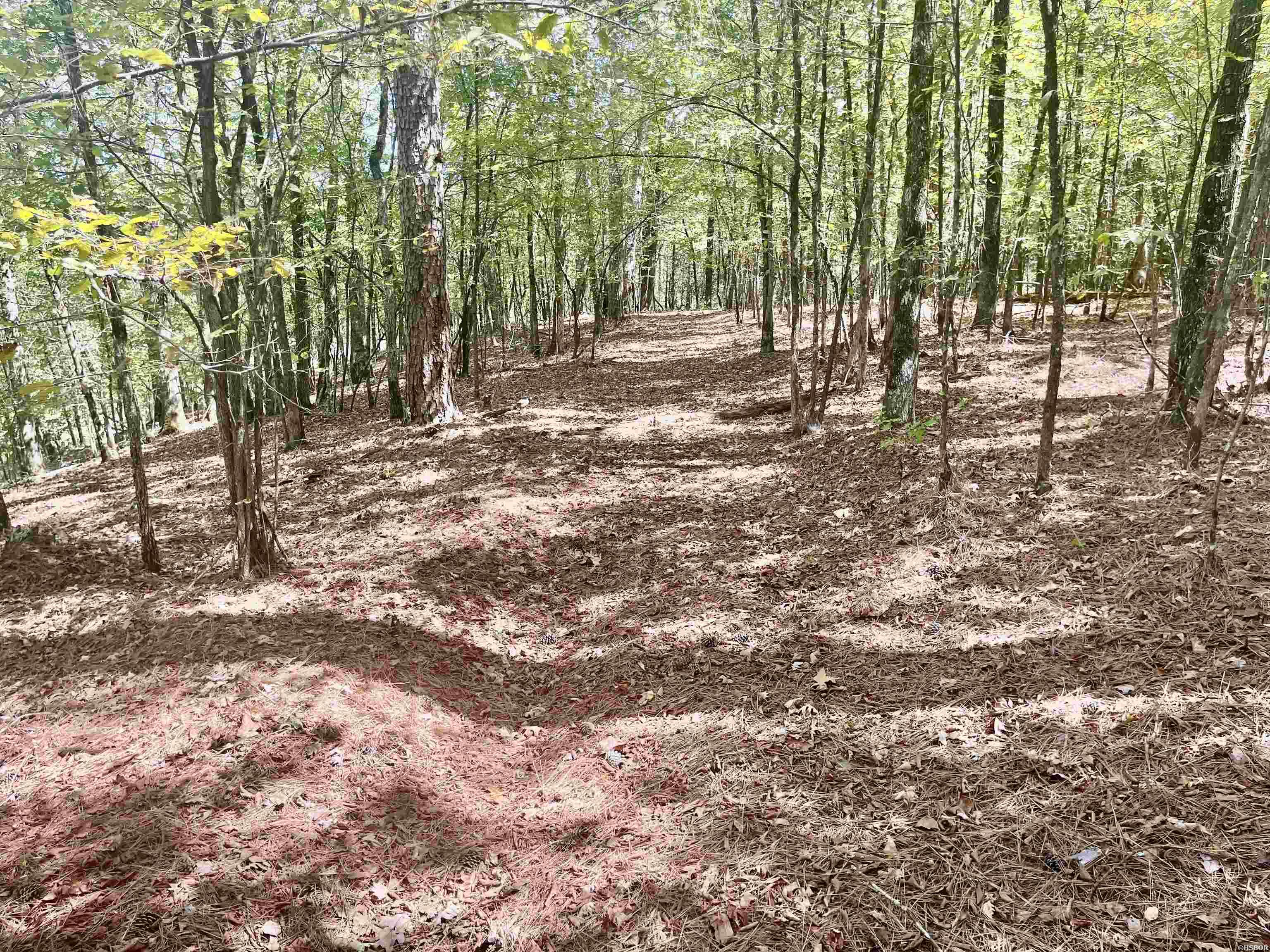 Tbd Midway Property Photo 19