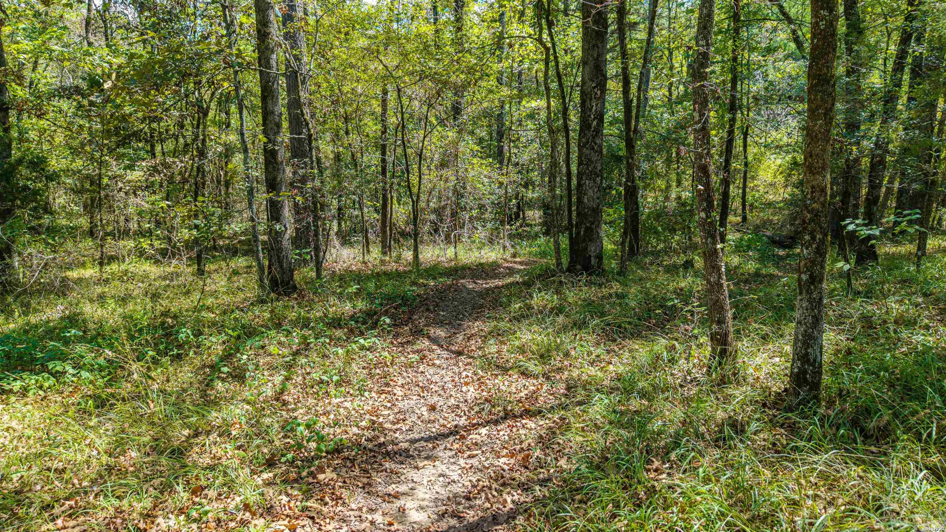 Tbd Midway Property Photo 24