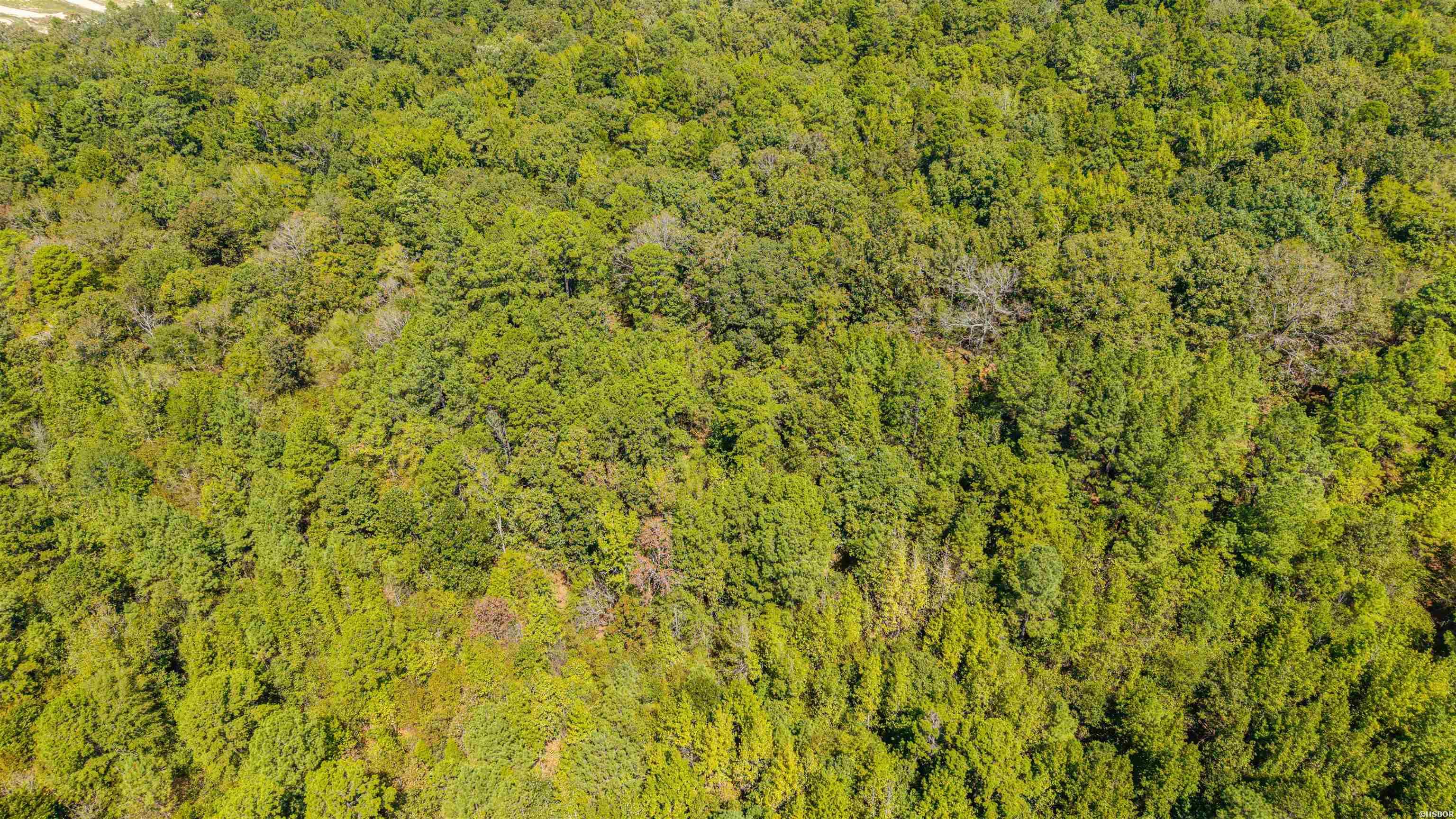Tbd Midway Property Photo 27