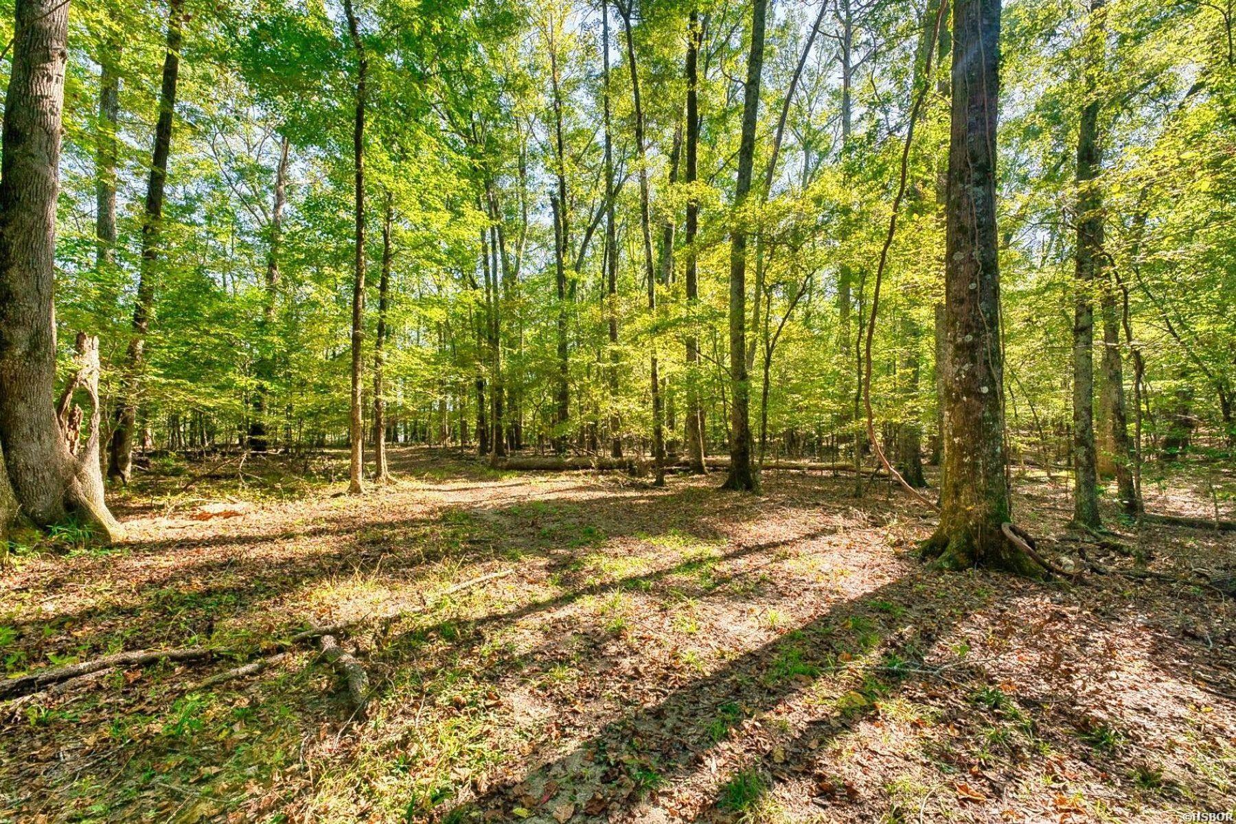 2601 Shady Grove Road Property Photo 44