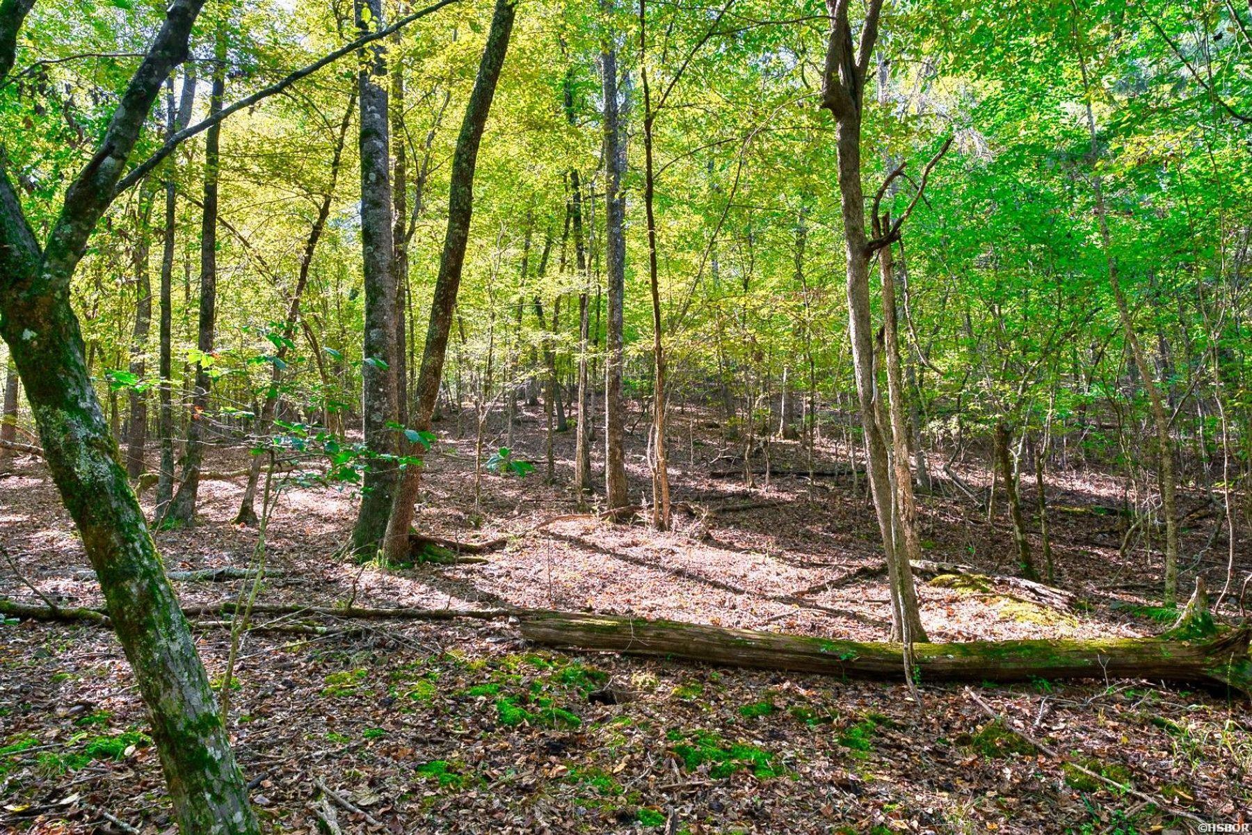 2601 Shady Grove Road Property Photo 45