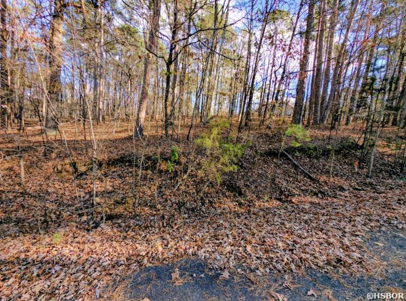 Tbd Astorga Circle Property Photo 4