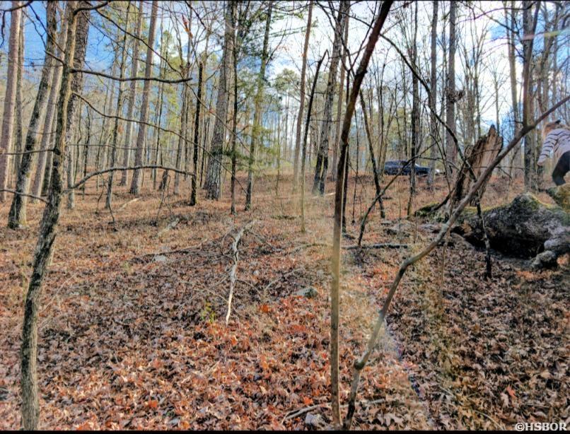 Tbd Nova Lane Property Photo 1