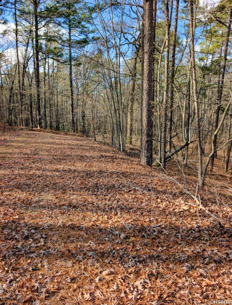 Tbd Nova Lane Property Photo 3