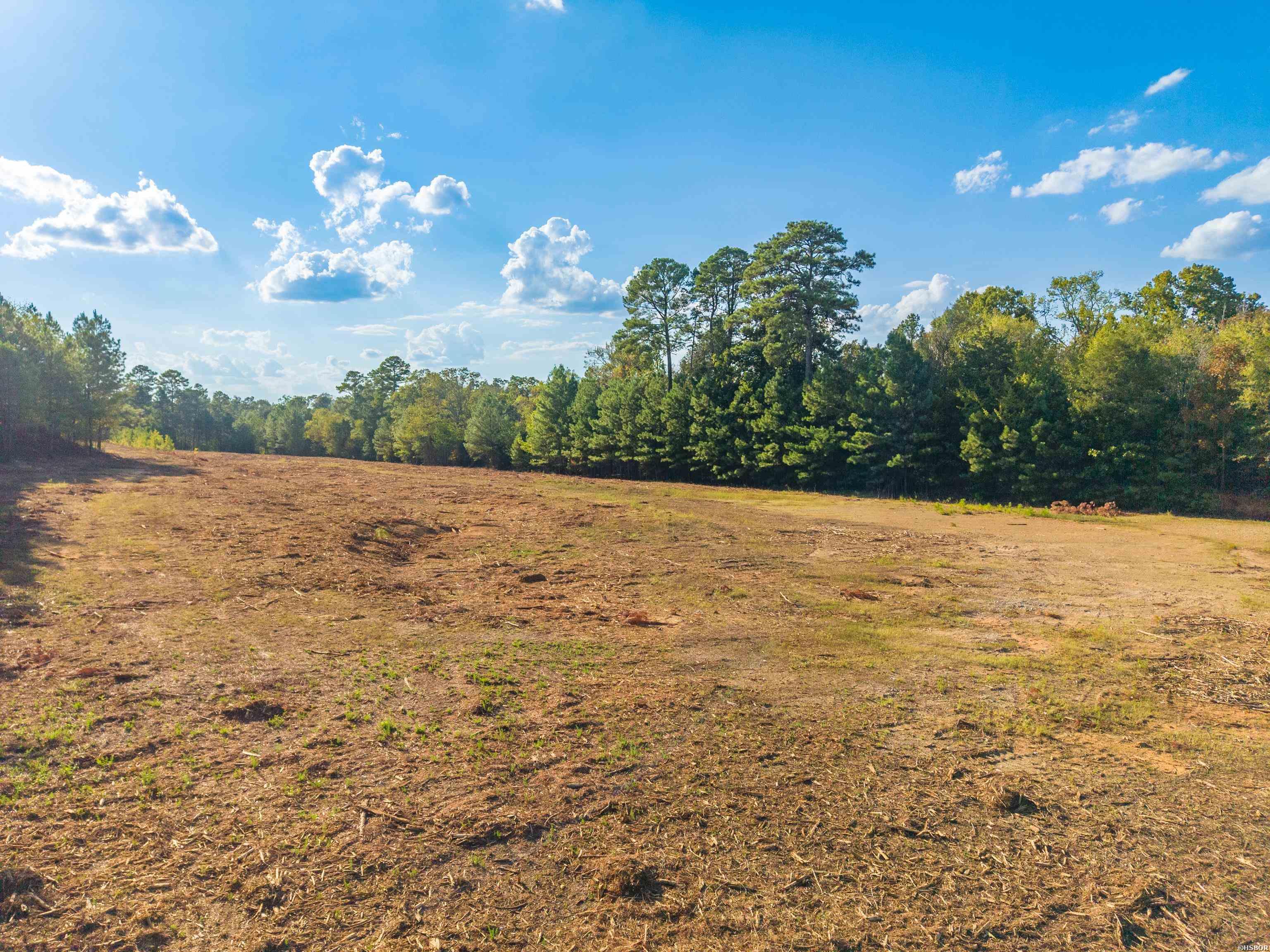 Xxxx Shady Grove Property Photo 18