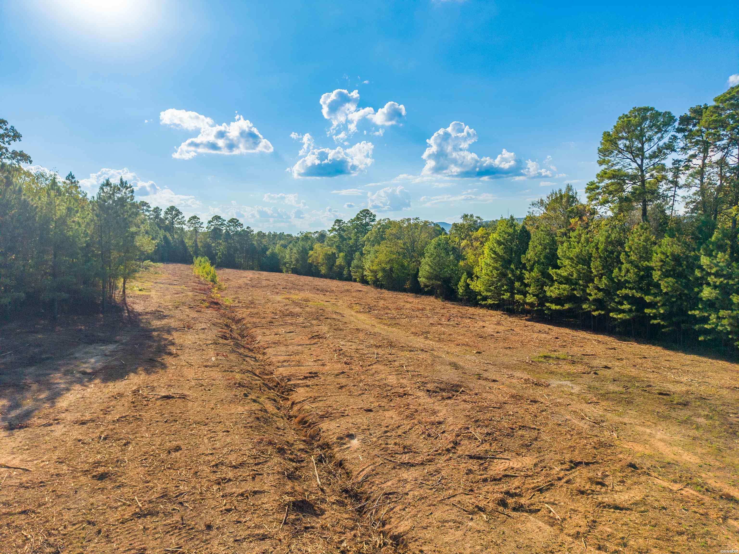 Xxxx Shady Grove Property Photo 19