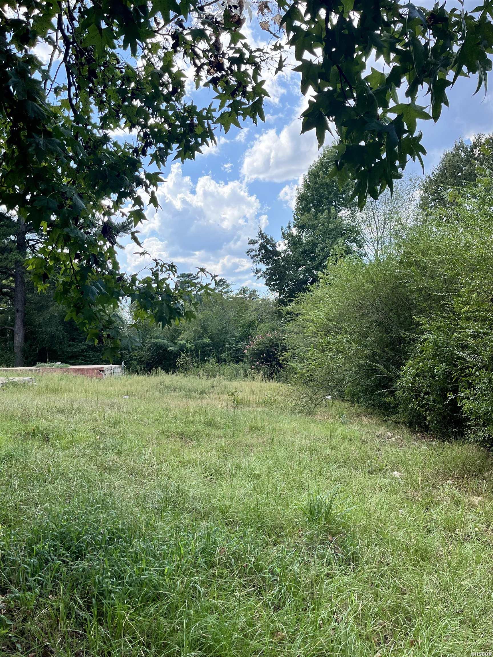 1423 Cedar Property Photo 3