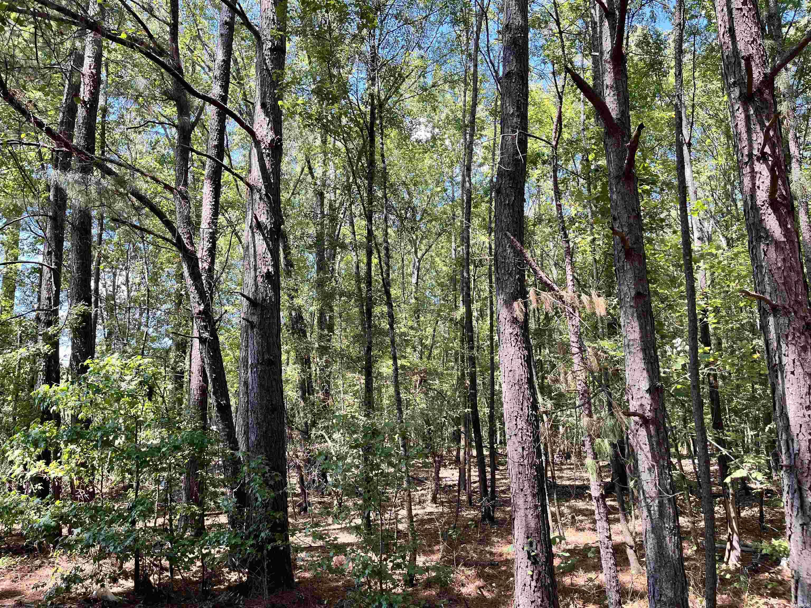 1209 Pine Drive Property Photo 3