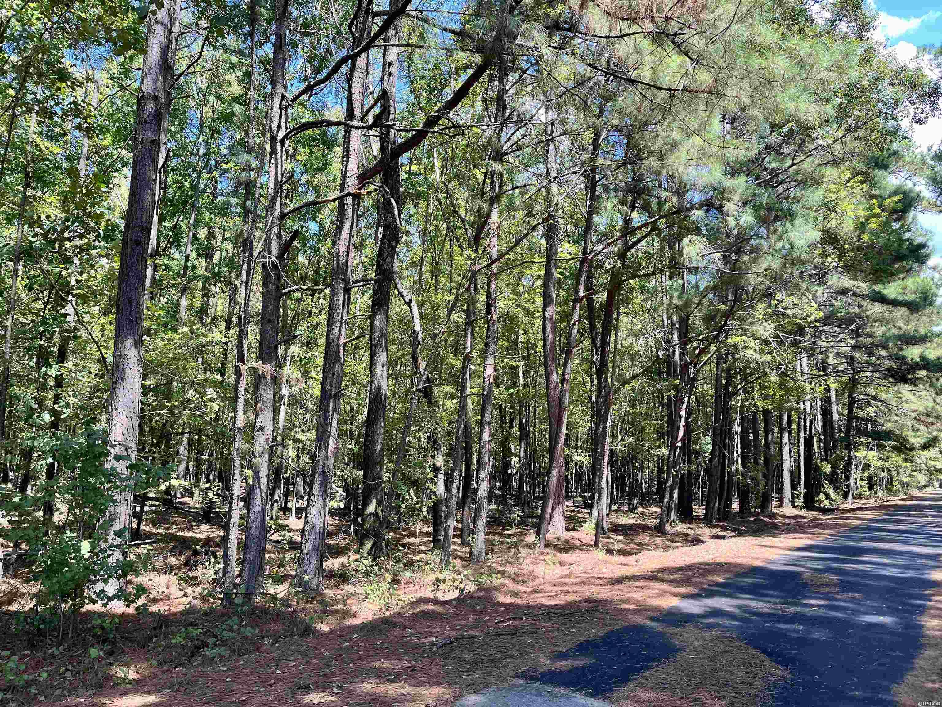 1209 Pine Drive Property Photo 7